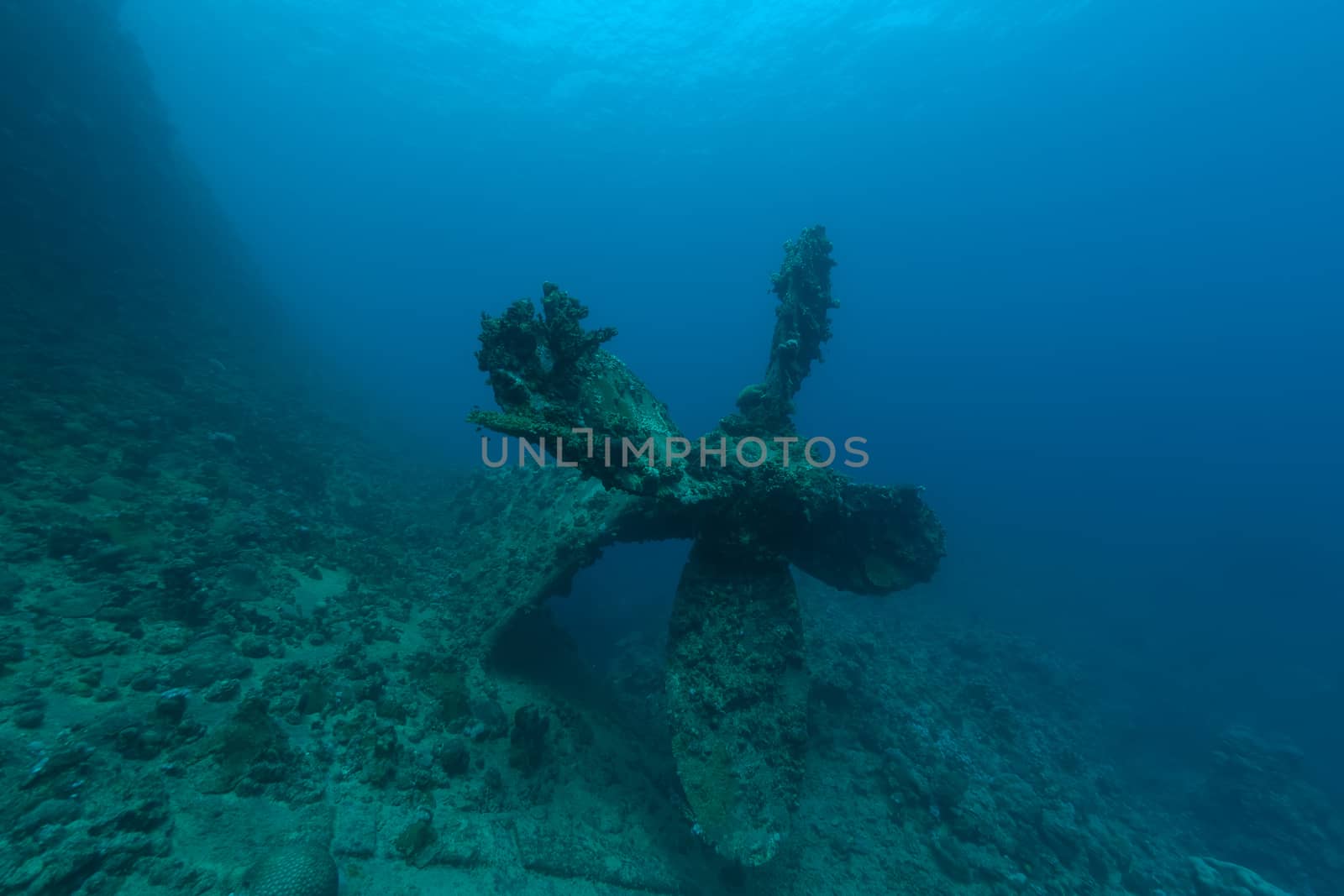 sunken ship wreck underwater diving Sudan Red Sea