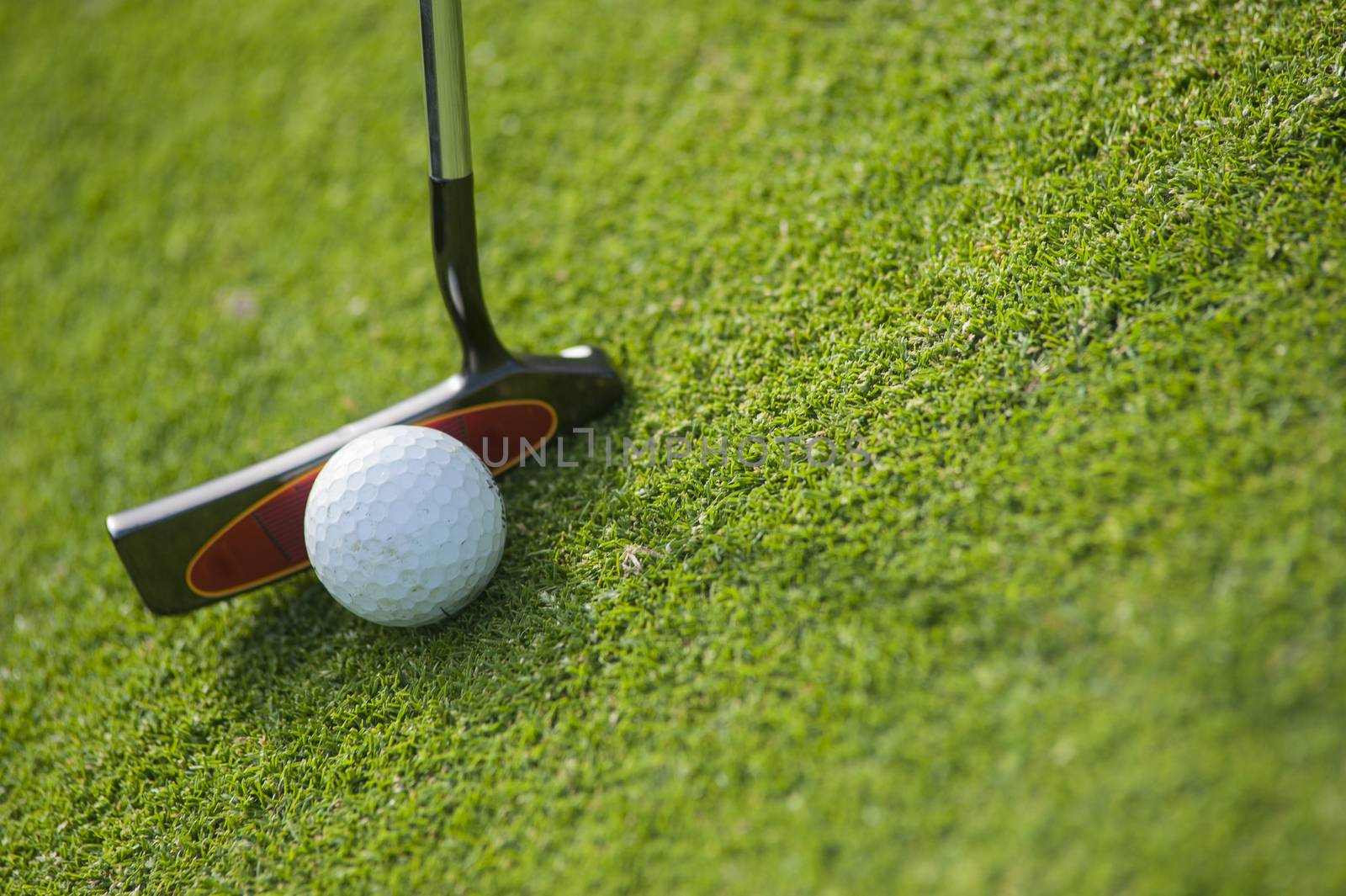 Golf club and ball in grass, France