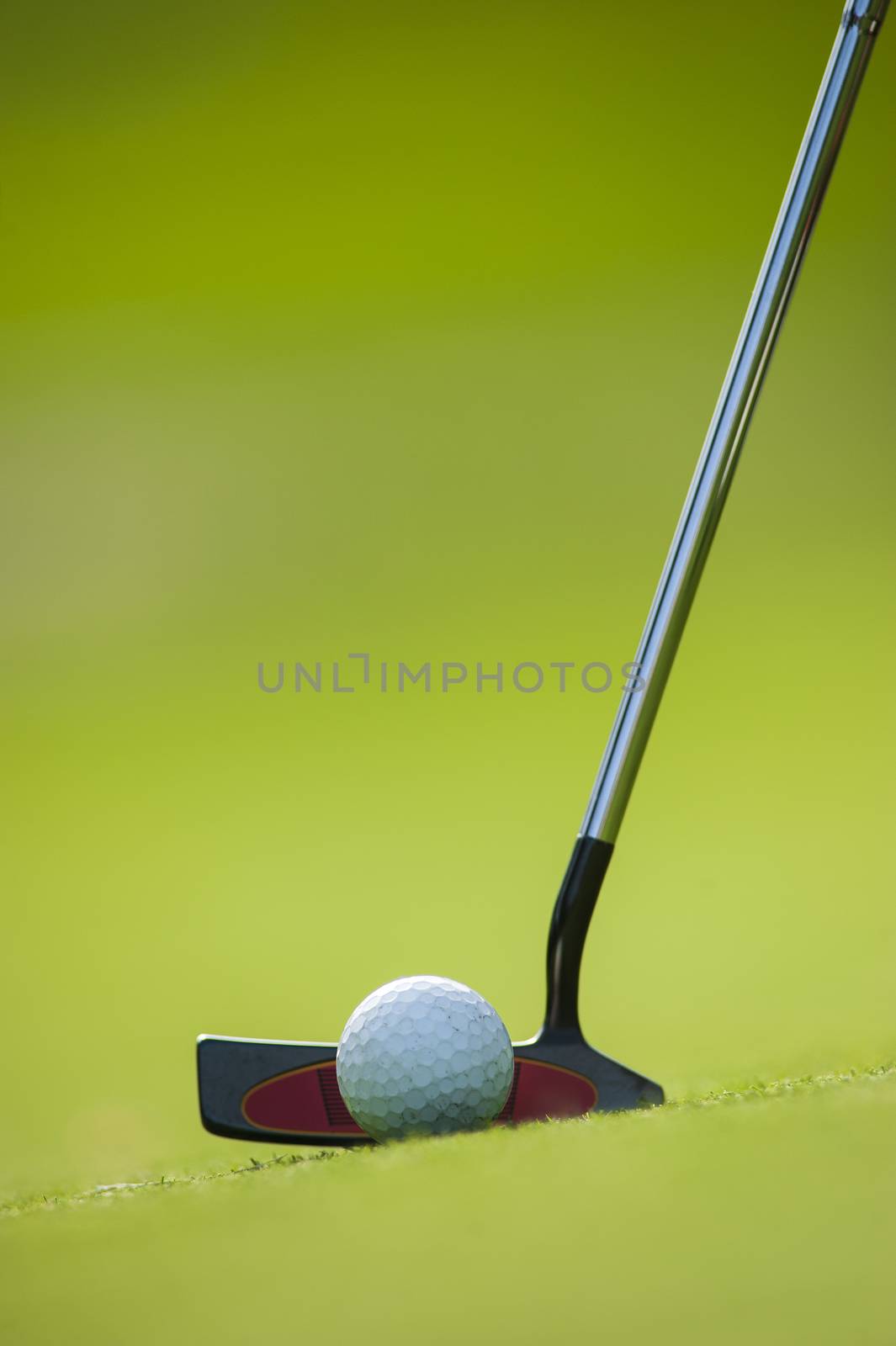 Golf club and ball in grass, France