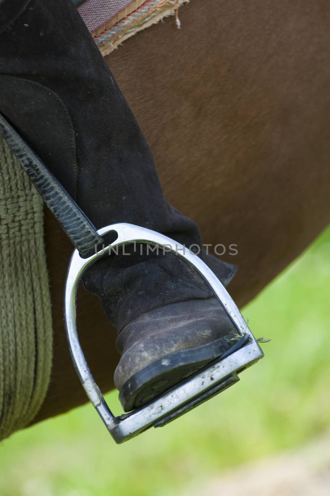 Dressage rider and horse closeup boot in stirrup detail, France