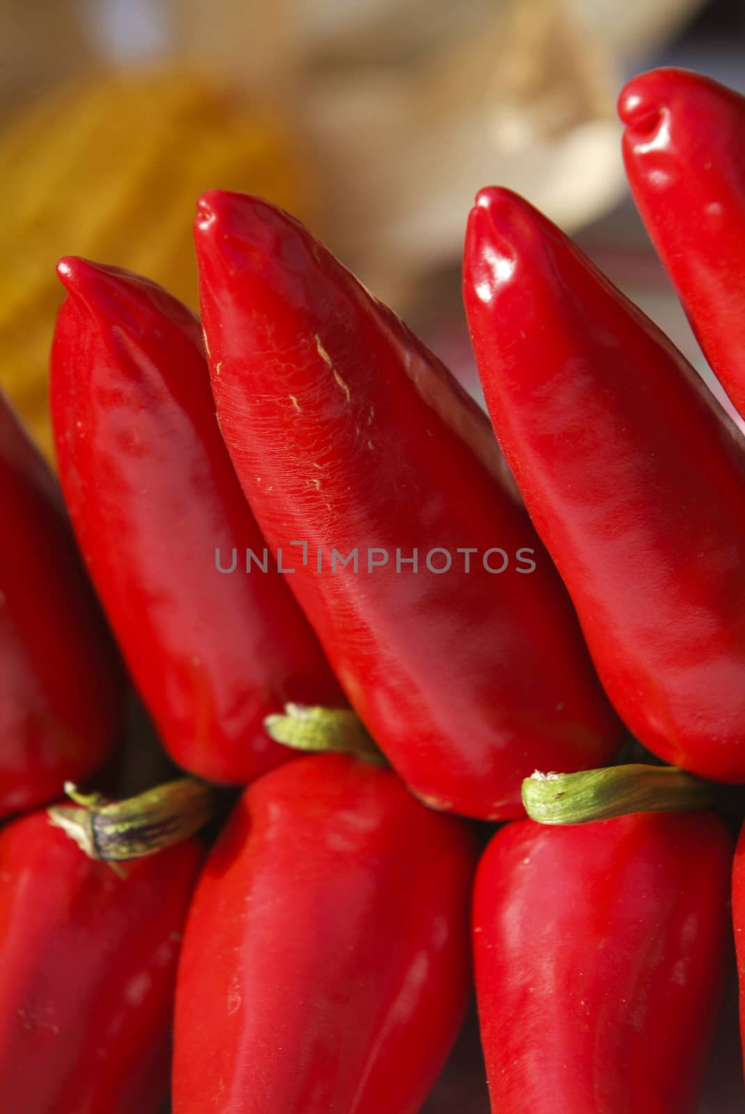 Red chilli peppers, Espelette, Pays Basque, Aquitaine, France