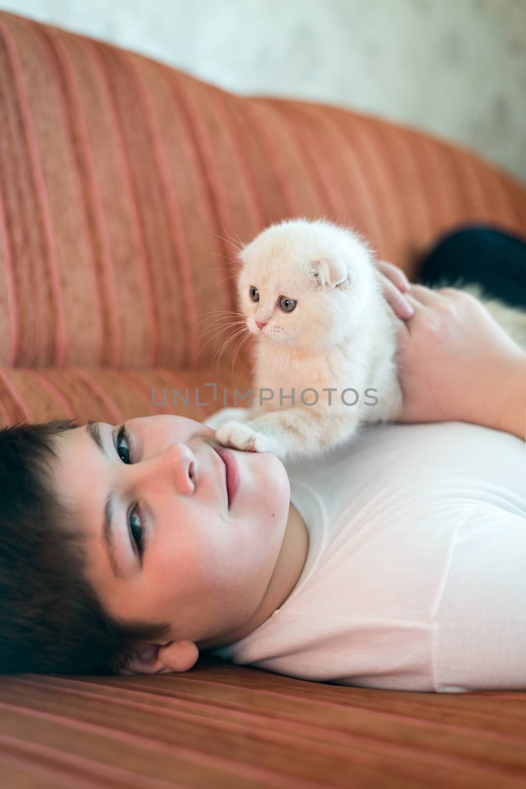 Teen boy lying on couch with a kitten by olgavolodina