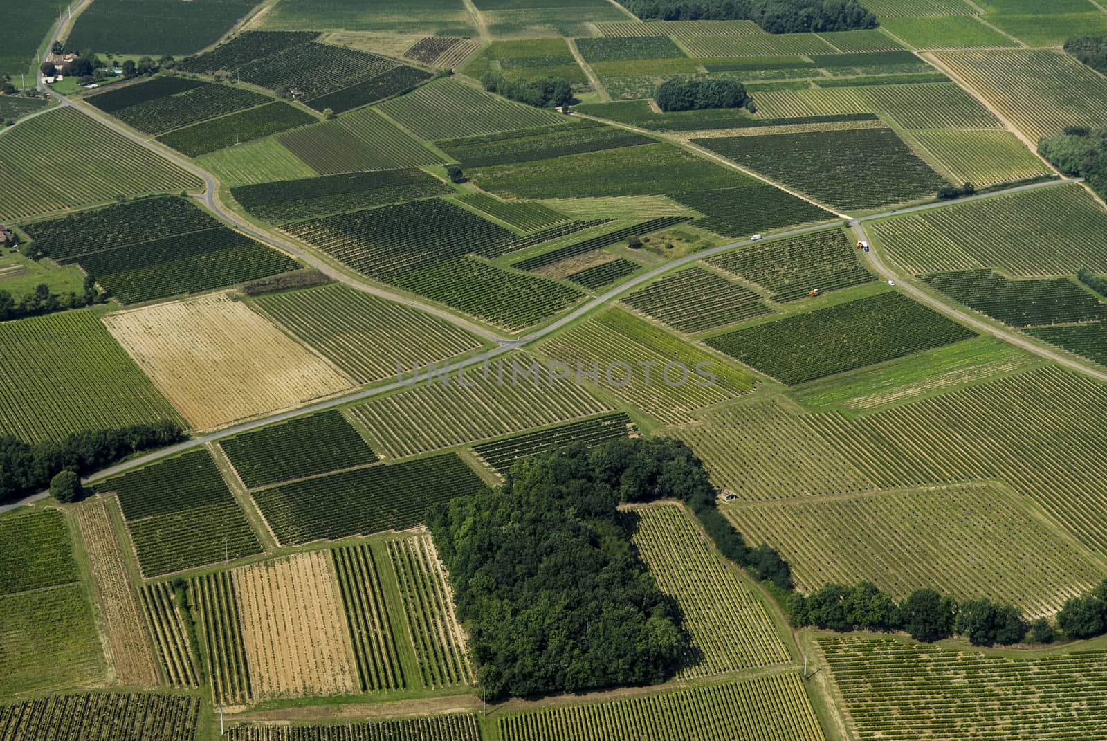 Aerial view of Bordeaux vineyard, France, Europe