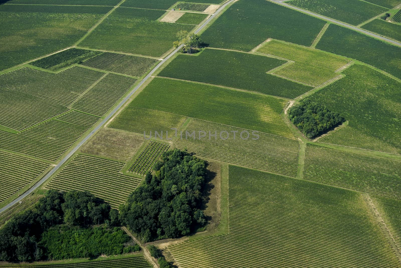 Aerial view of Bordeaux vineyard, France, Europe