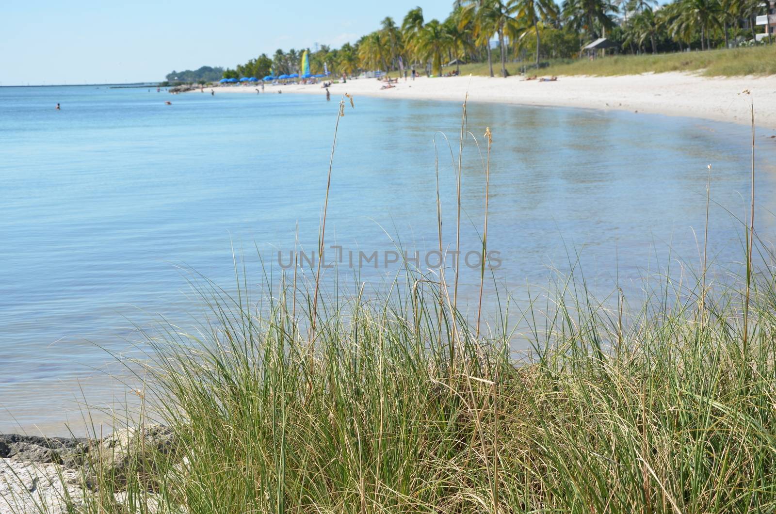 A view of the shore in Key West Florida