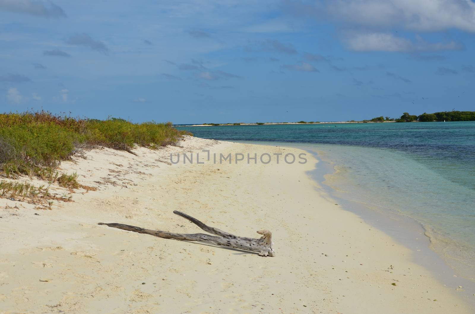 A remote beach on Dry Tortugas a small isalnd off the coast of florida.