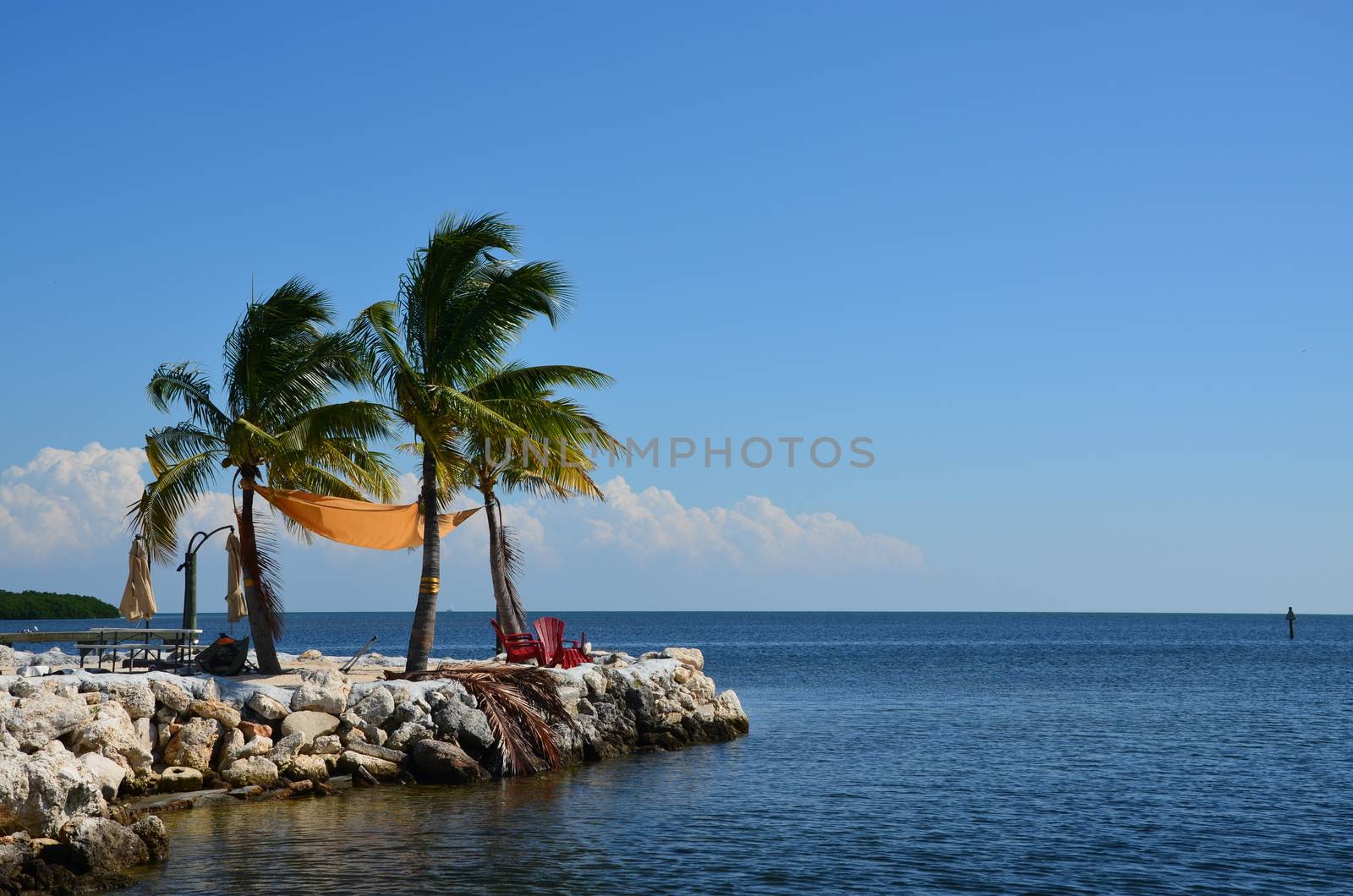 A sunny day and light breeze make this a quiet place to sit and enjoy the ocean in the florida keys. Two charis and a few palm trees complete the scene.