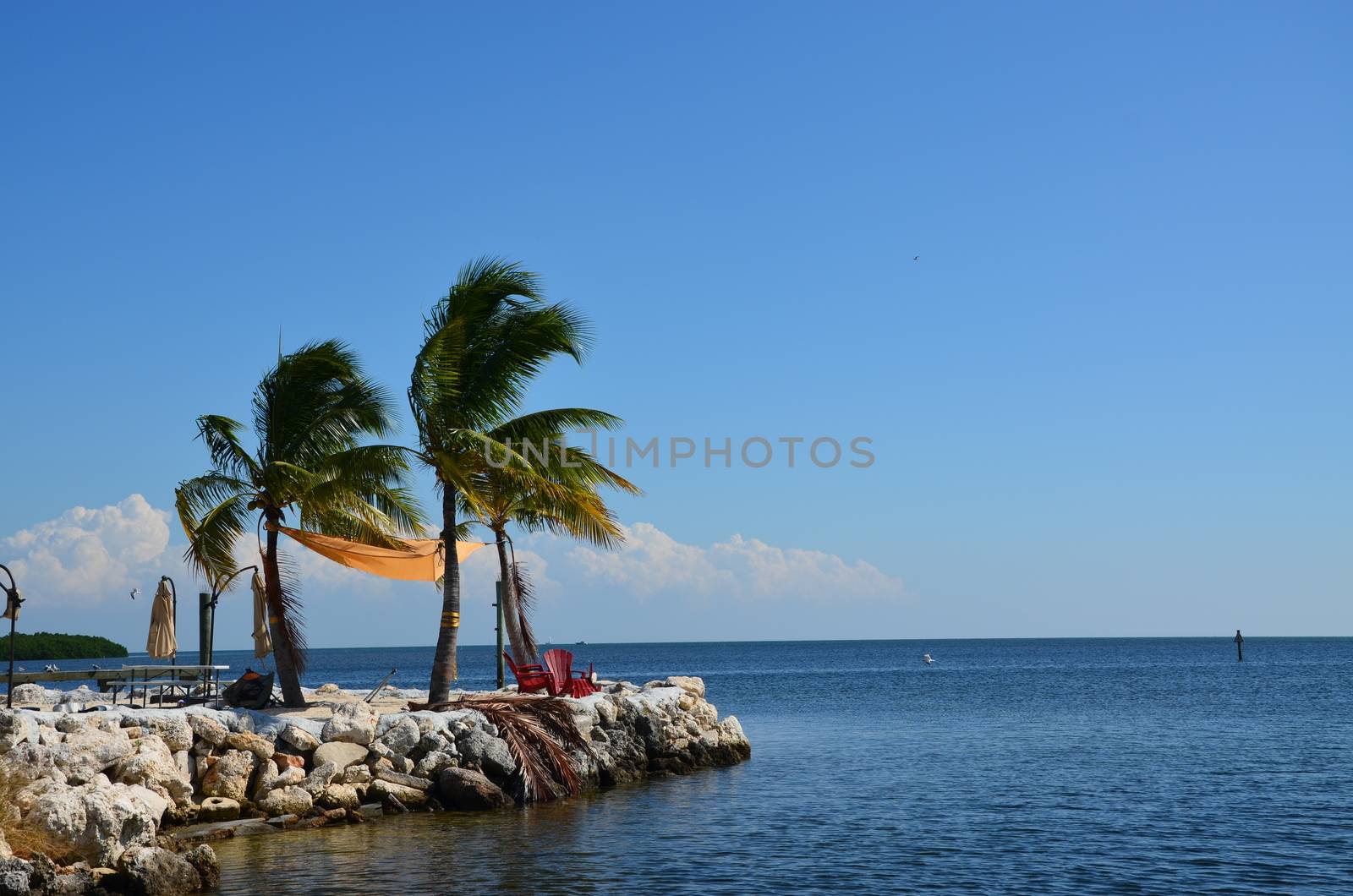 A quiet place to sit and enjoy the ocean in the florida keys. Two charis and a few palm trees complete the scene.