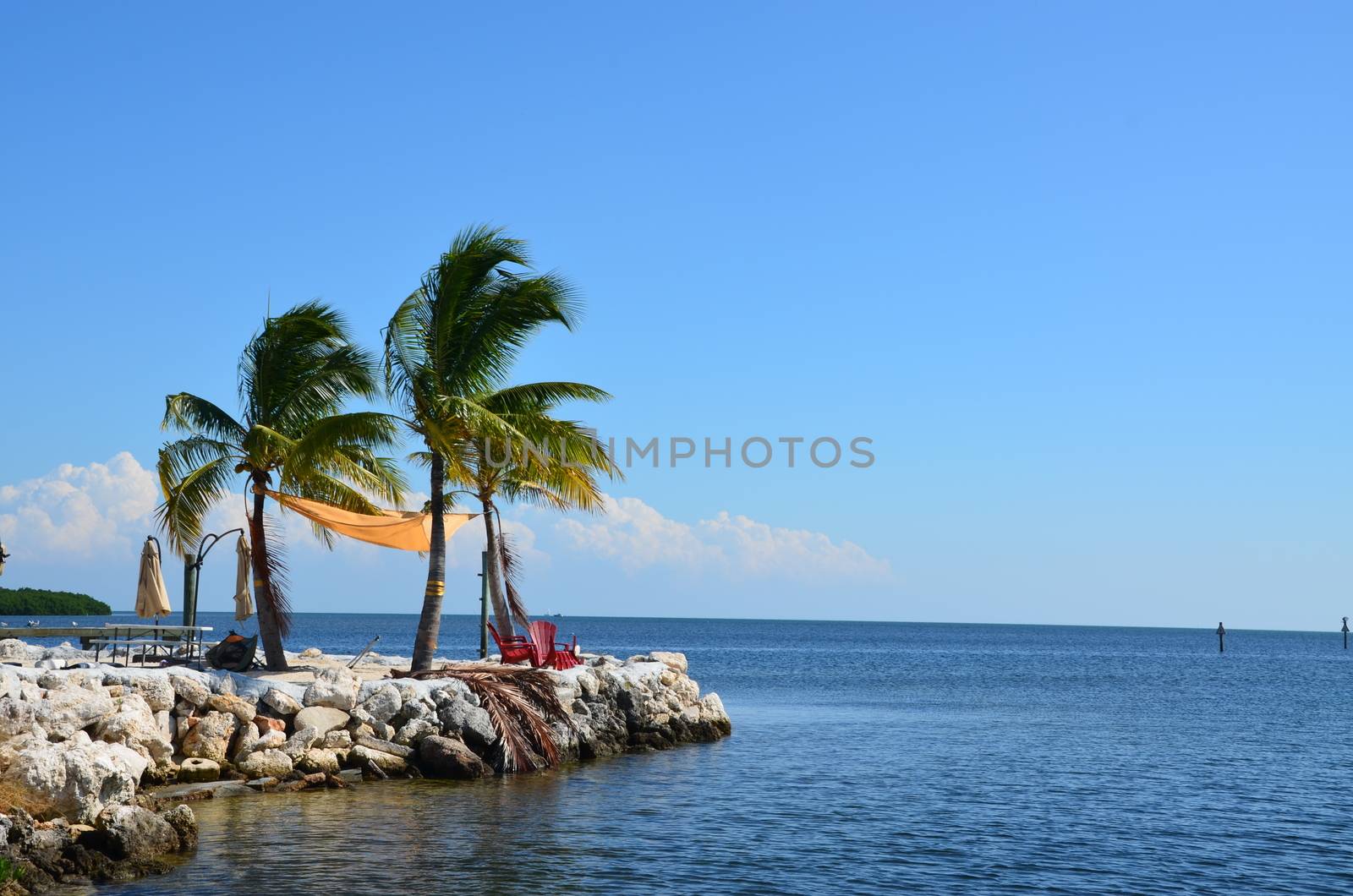 a spot on the edge of the island makes a quiet place to sit and enjoy the ocean in the florida keys. Two charis and a few palm trees complete the scene.
