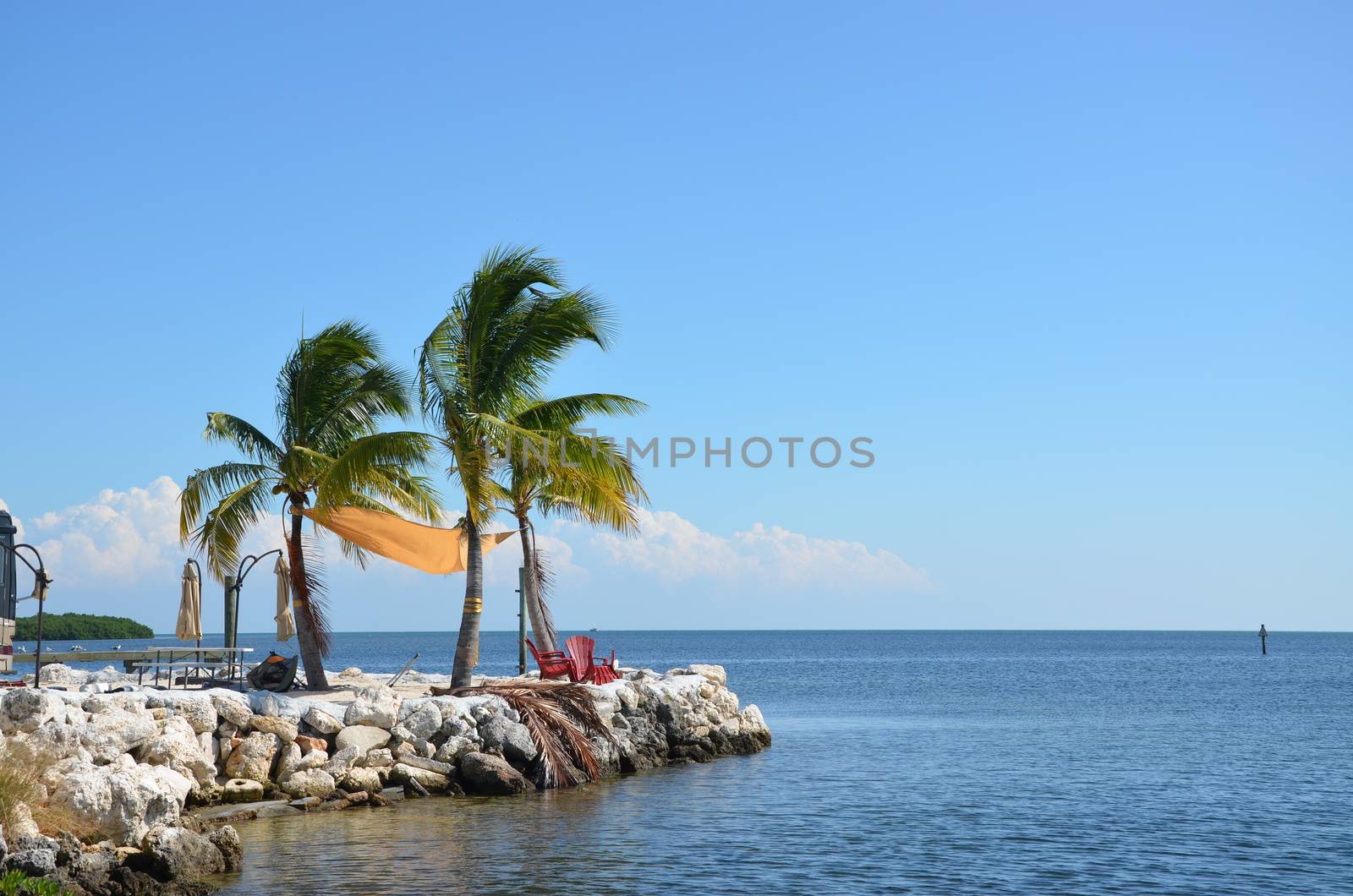 A quiet place to sit and enjoy the ocean in the florida keys. Two charis and a few palm trees complete the scene.