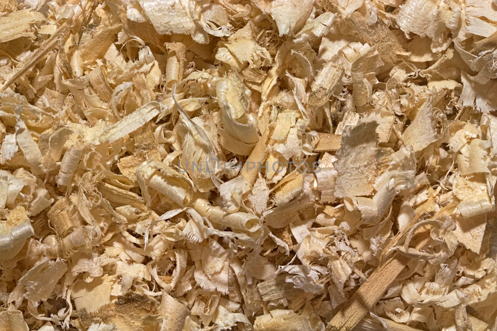 Background of randomly placed wooden shavings. Large swirling sawdust softwood. Texture or backdrop for industry or ecology design projects.