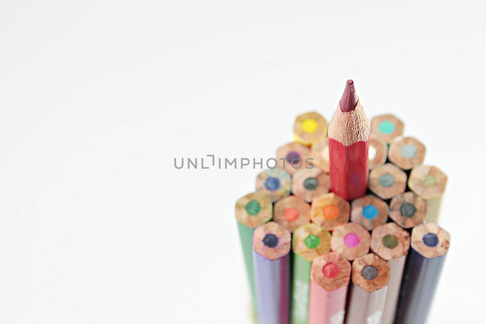 Business, leadership individual, unique, independent, winner, success concept : Group of color pencil with a single sharp one