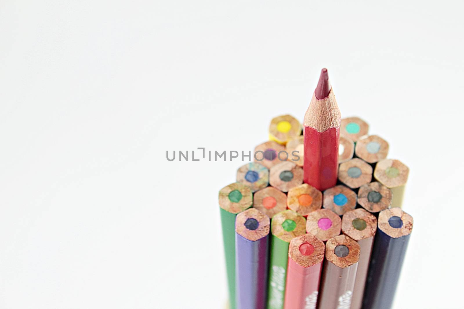 Business, leadership individual, unique, independent, winner, success concept : Group of color pencil with a single sharp one