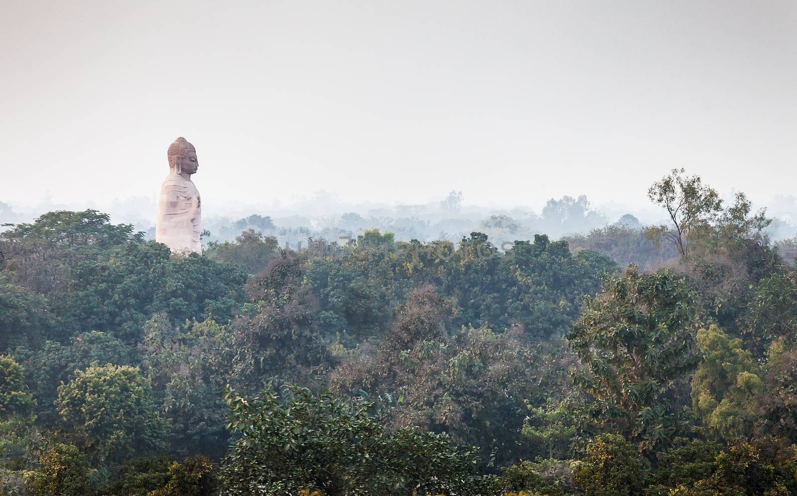 The lord Buddha dominates over the city of Sarnath by dymov