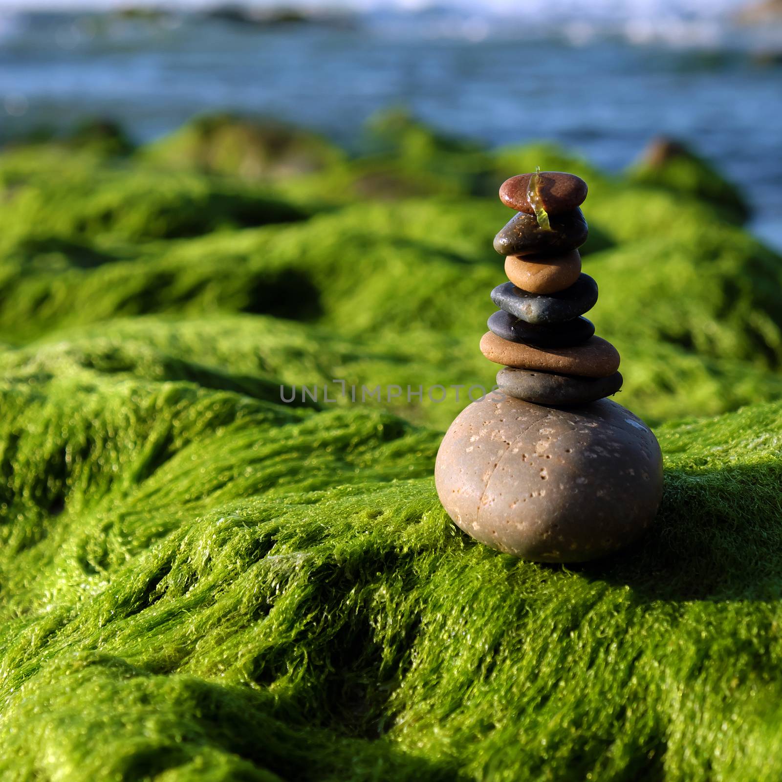 Amazing stack of stones on green moss at seaside beach, group of pebble balance on large rock as meditation, concept for Zen or strong mind or teamwork spirit
