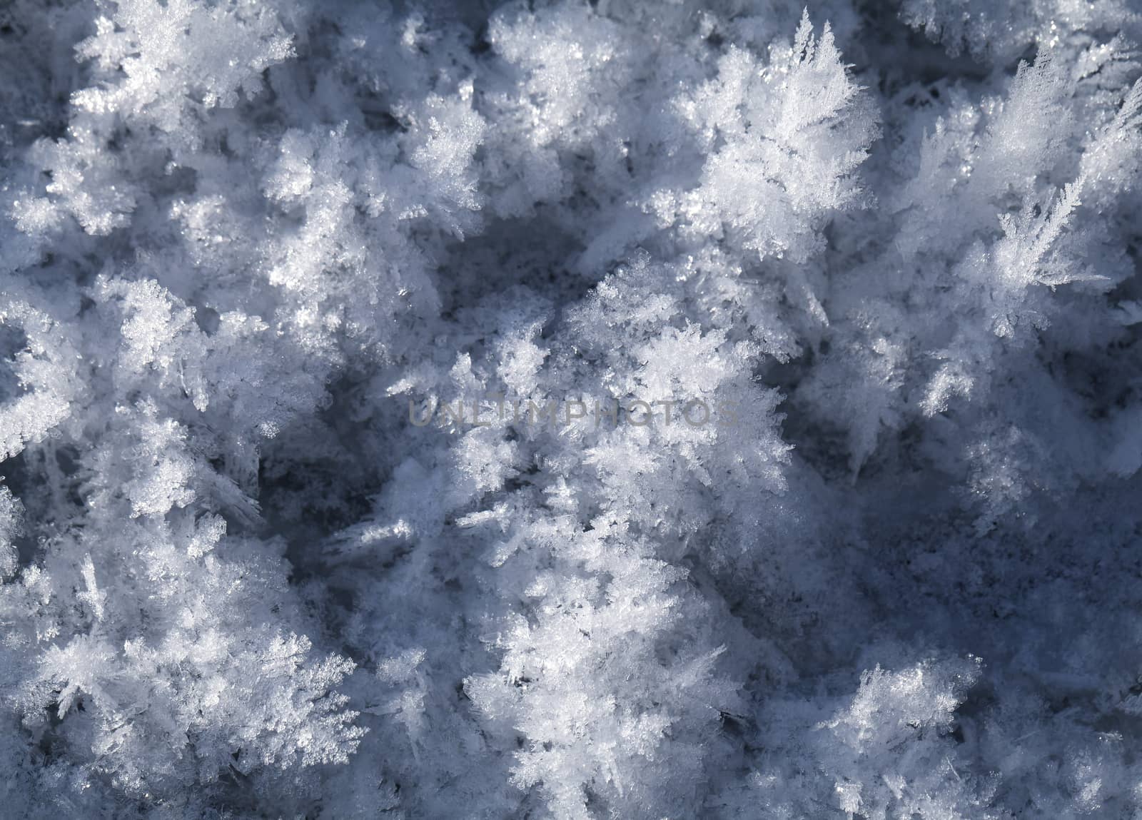 Big snow crystals on the ground, macro shot