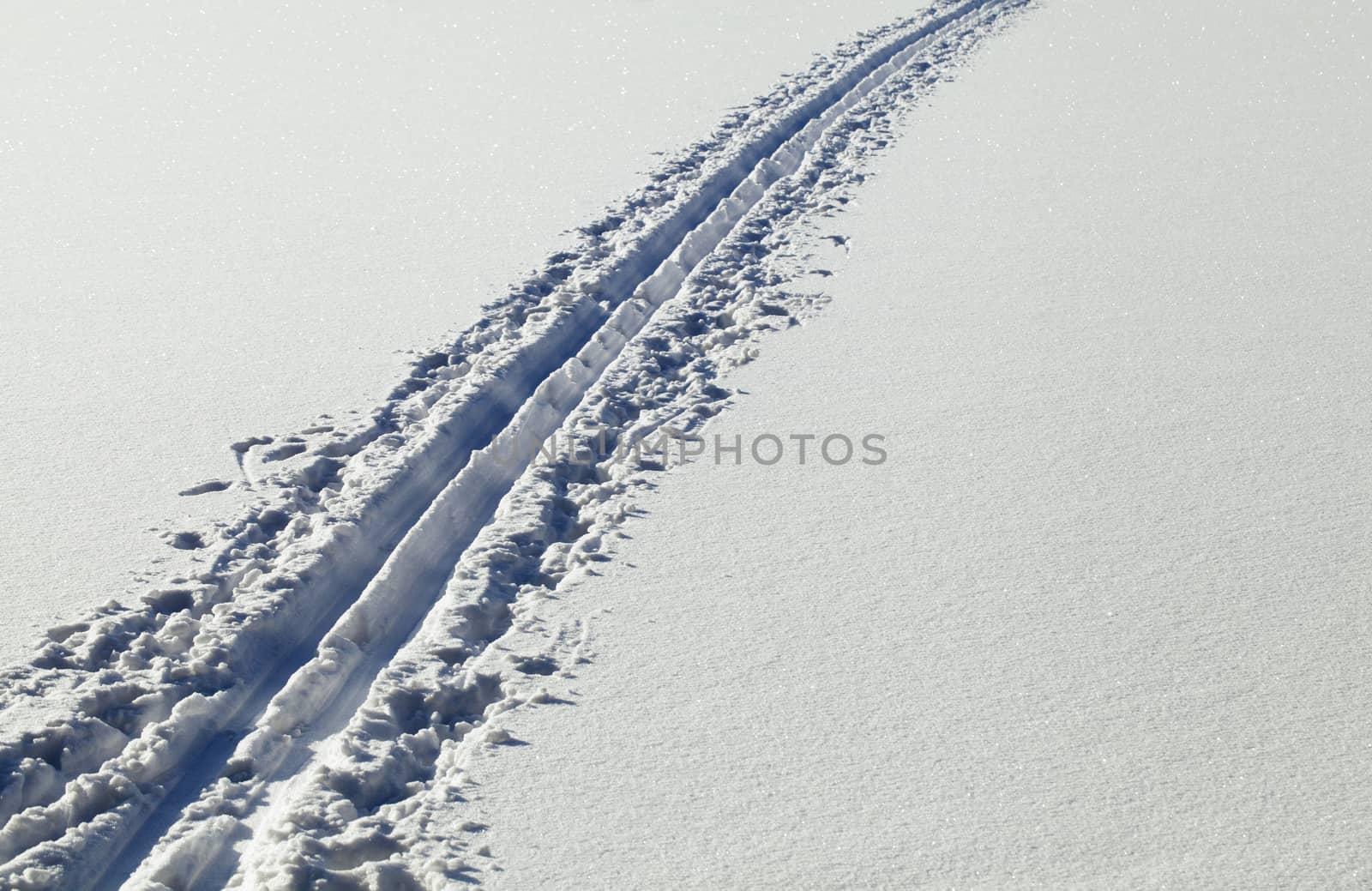 Ski track in winter, low point of view
