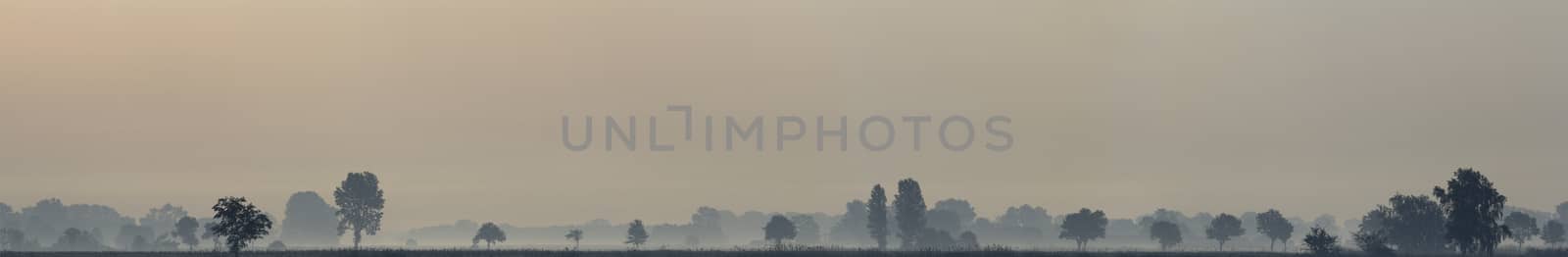 morning fog over a meadow, nature series