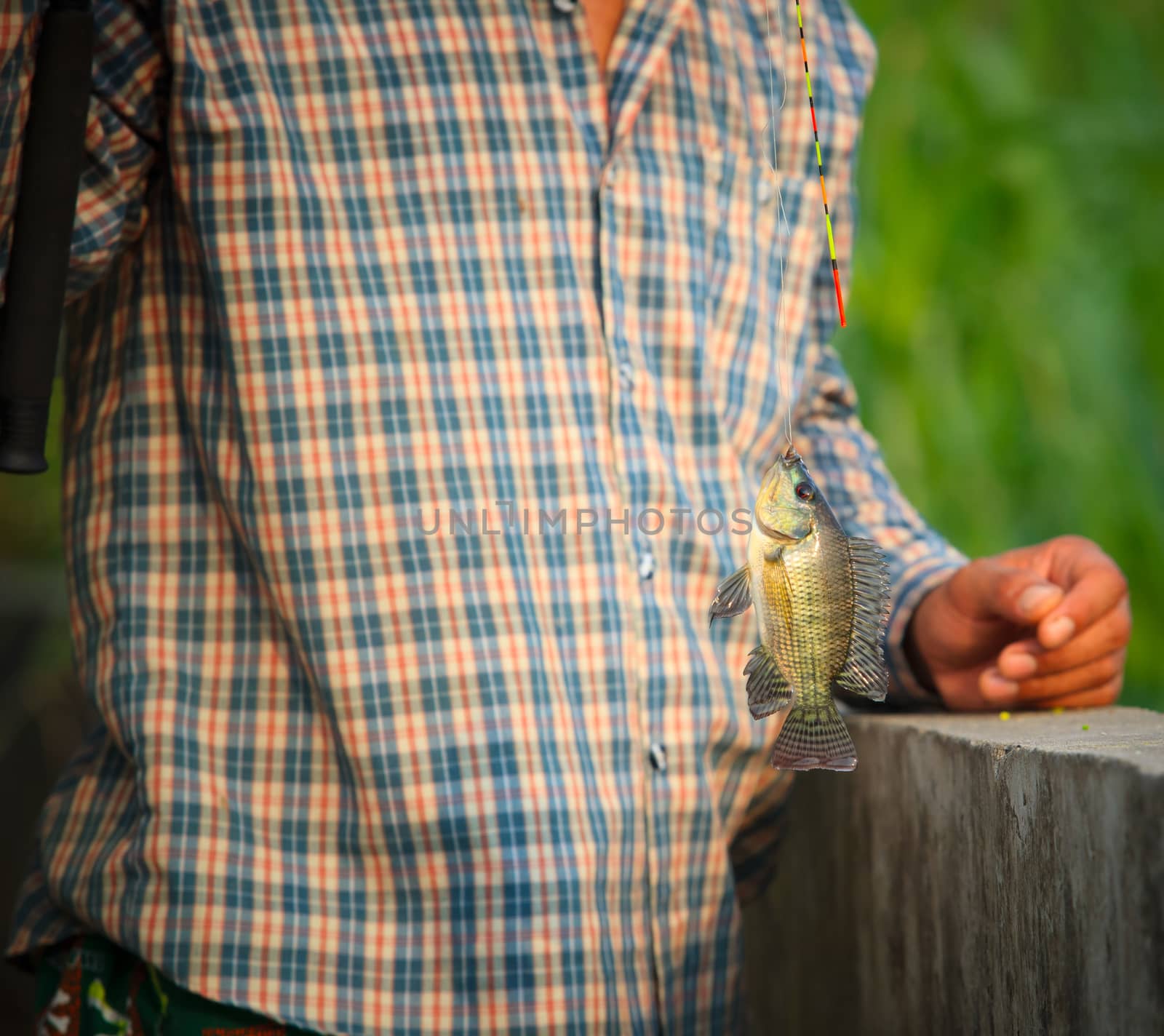fishing man  and nile fish hanging on hook