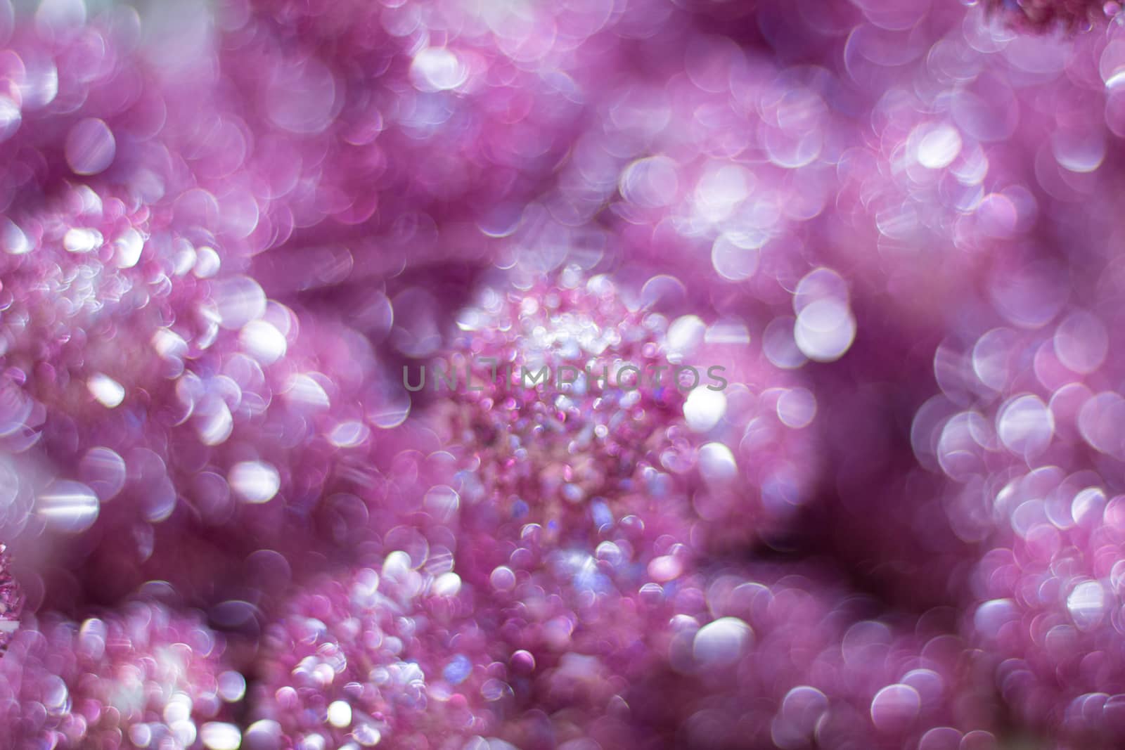 Bright shiny pink and lilac drops background for celebration greeting cards