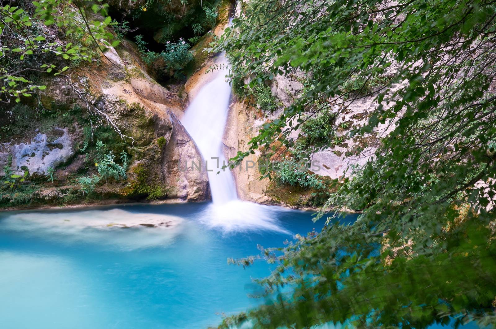 Urederra River (Navarra, Spain) takes an amazing blue color near its spring.