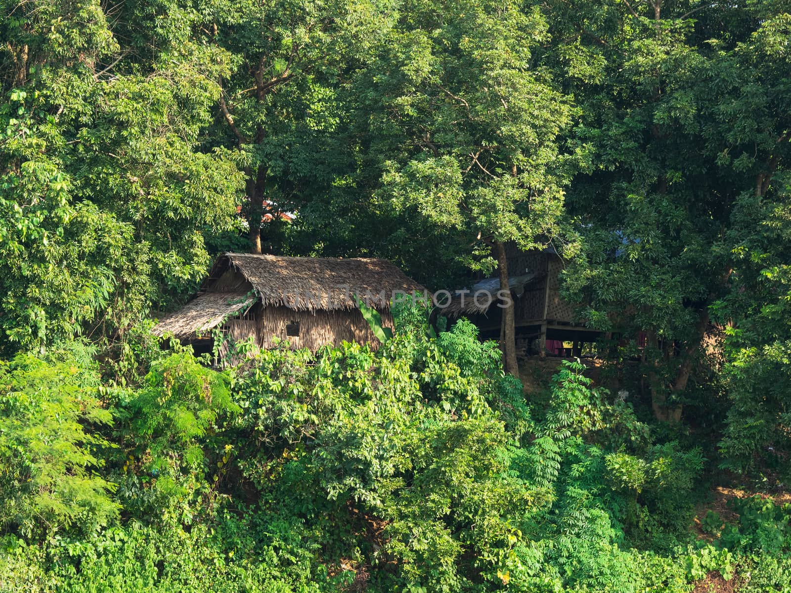 Traditional straw house at a tropical forest in Mrauk U, an ancient town in the Rakhine State of Myanmar.