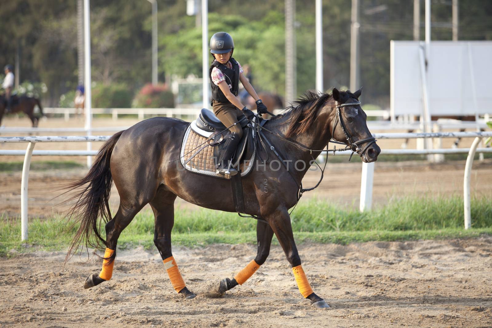 ิboy riding horse