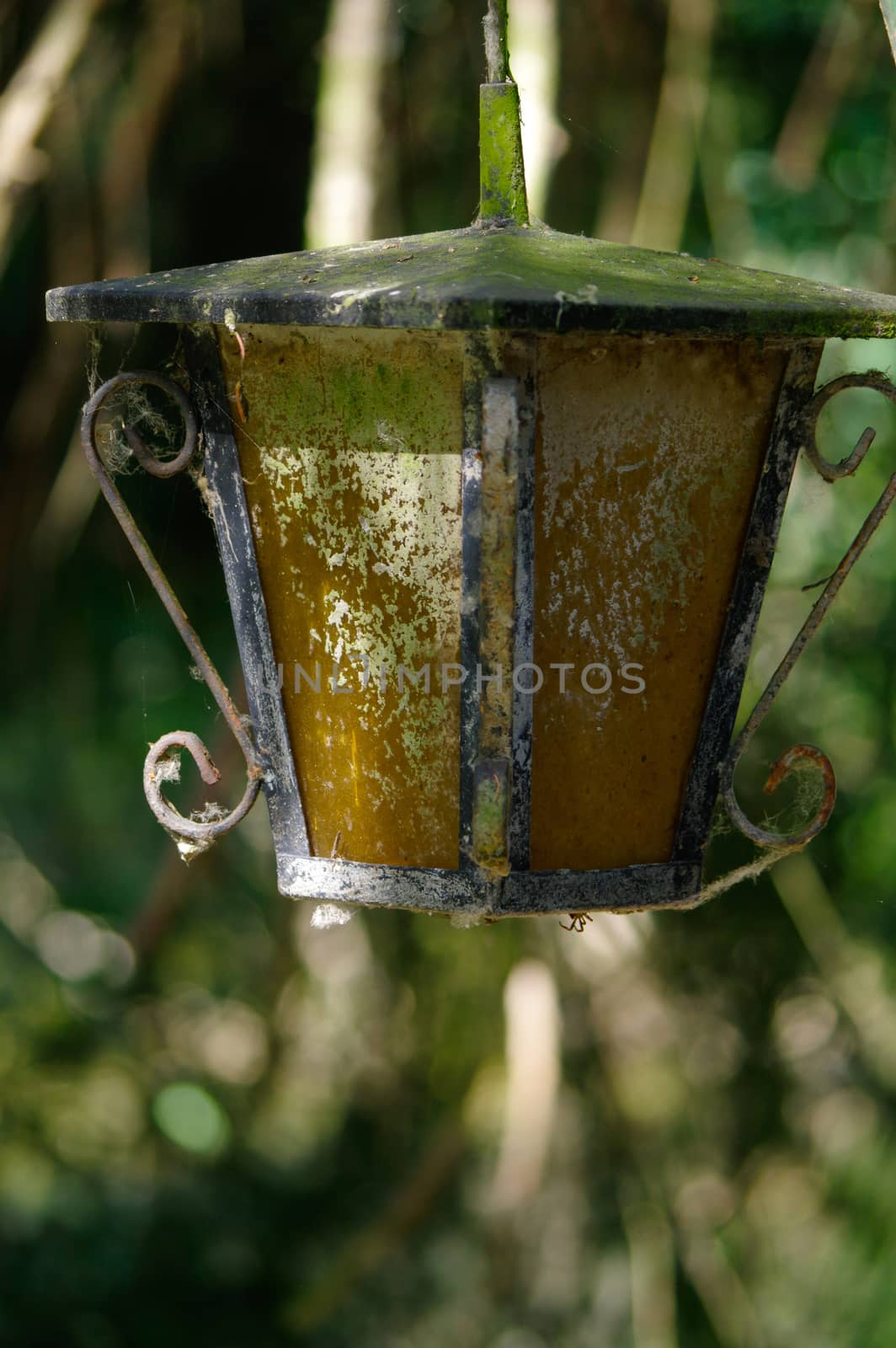 a vintage style street light with crown on the top. Beautiful historical retro metal Streetlight on green tree background.