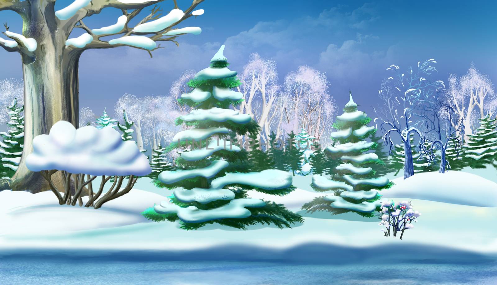 Snow-covered Pine Trees in a Winter Forest. Handmade illustration in a classic cartoon style.