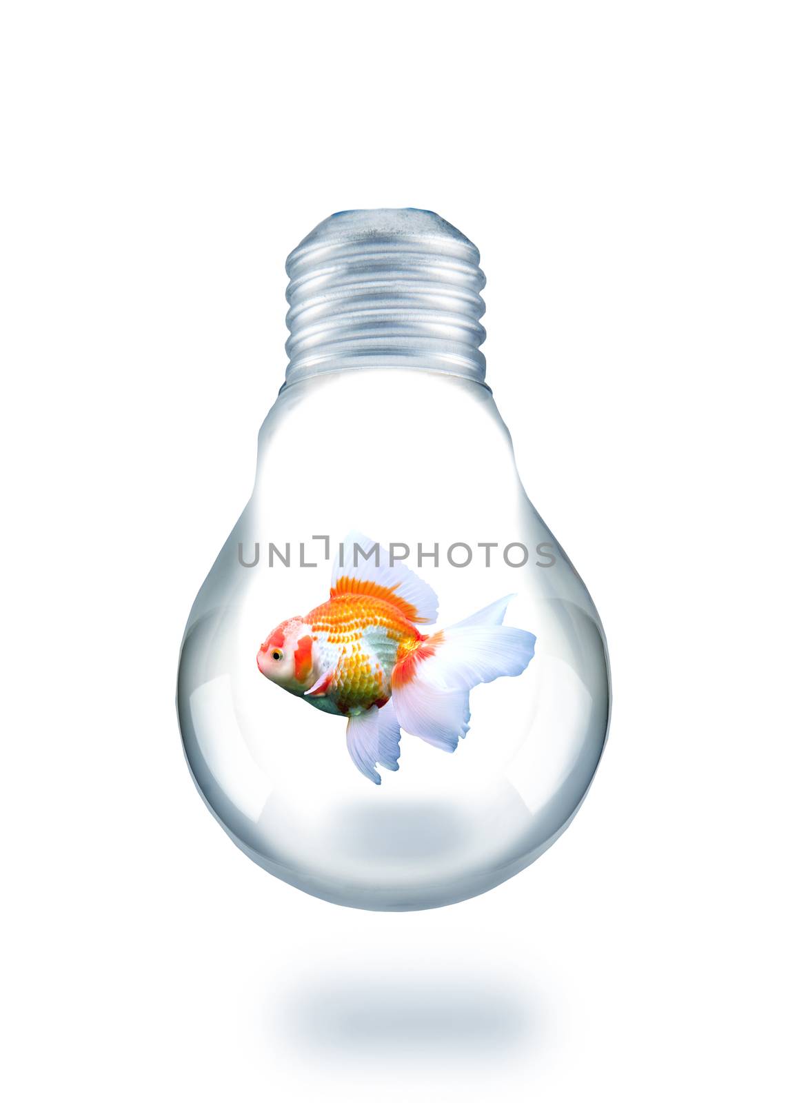 gold fish swiming in light bulb by khunaspix