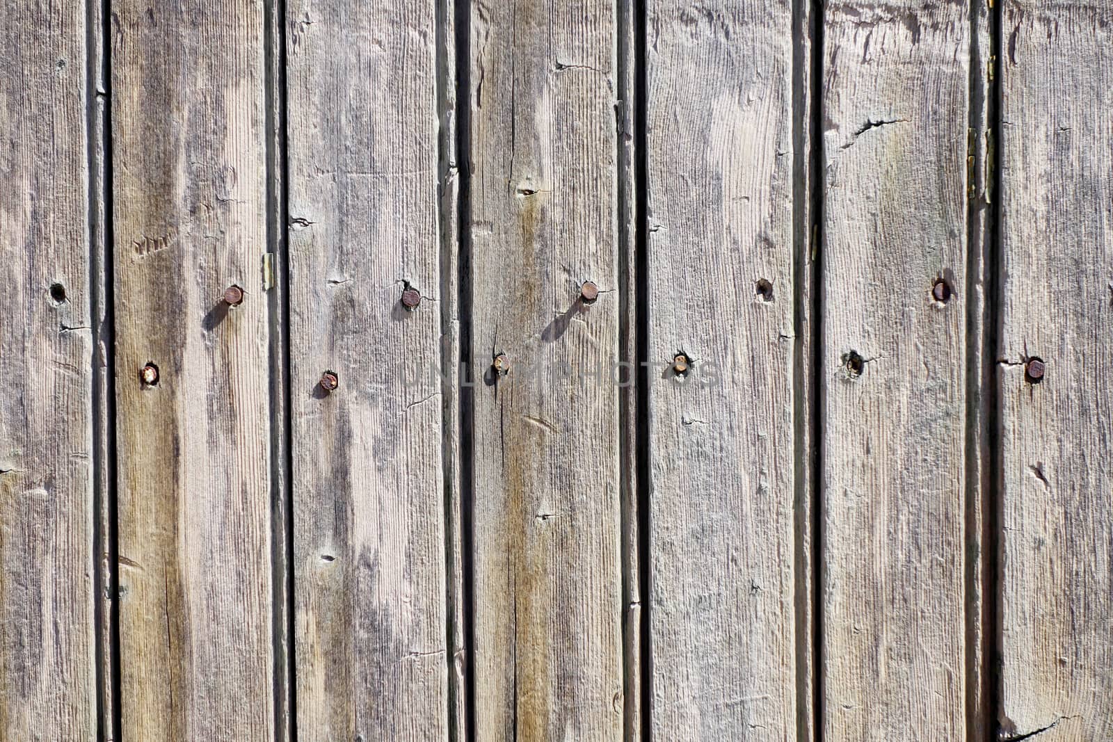 Old rough wood board background texture                               