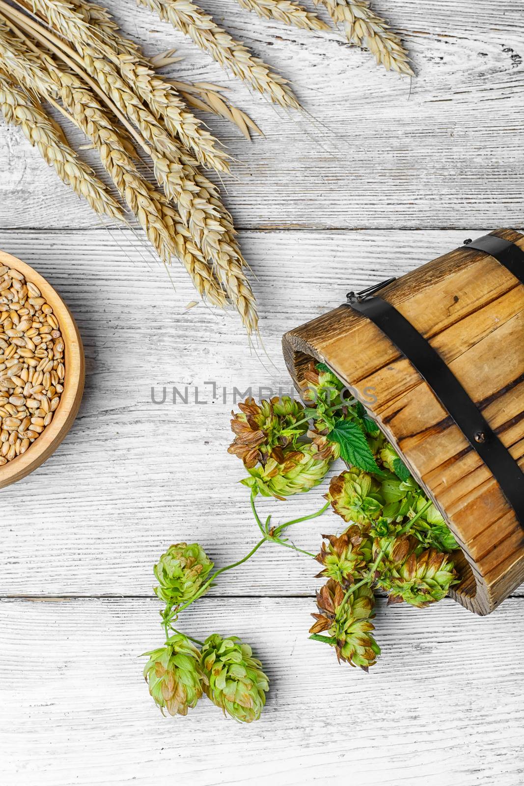 Twig beer hops and seed in the wooden tub
