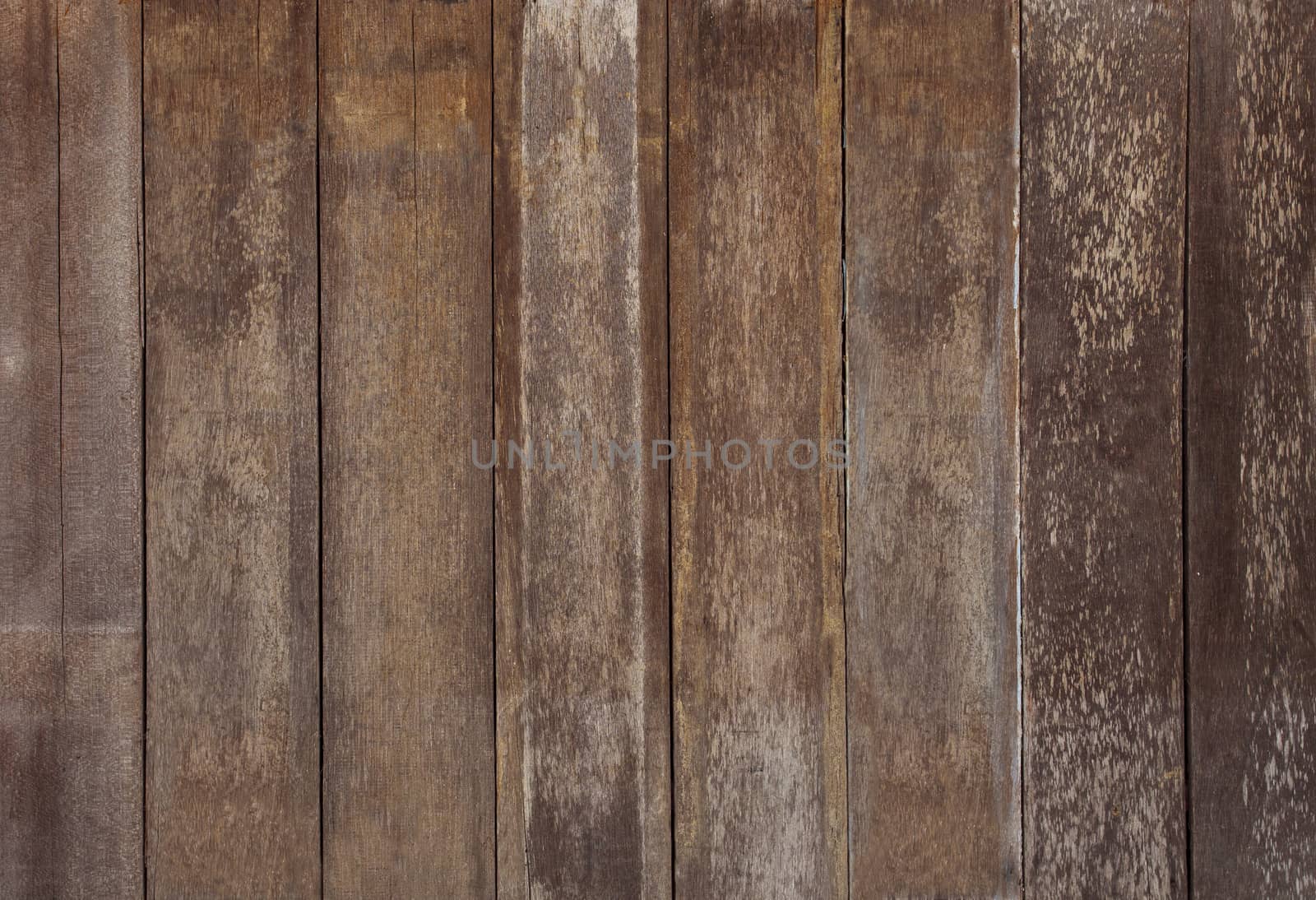 arrangement of old bark wood textured panel use as grain wooden texture background ,backdrop