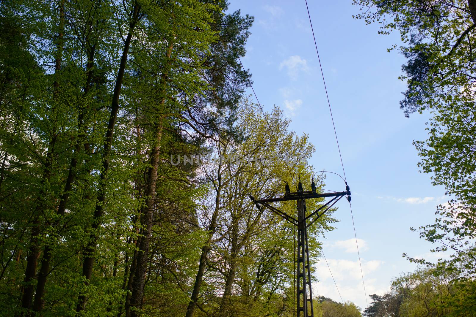 high voltage post in forest in early spring time