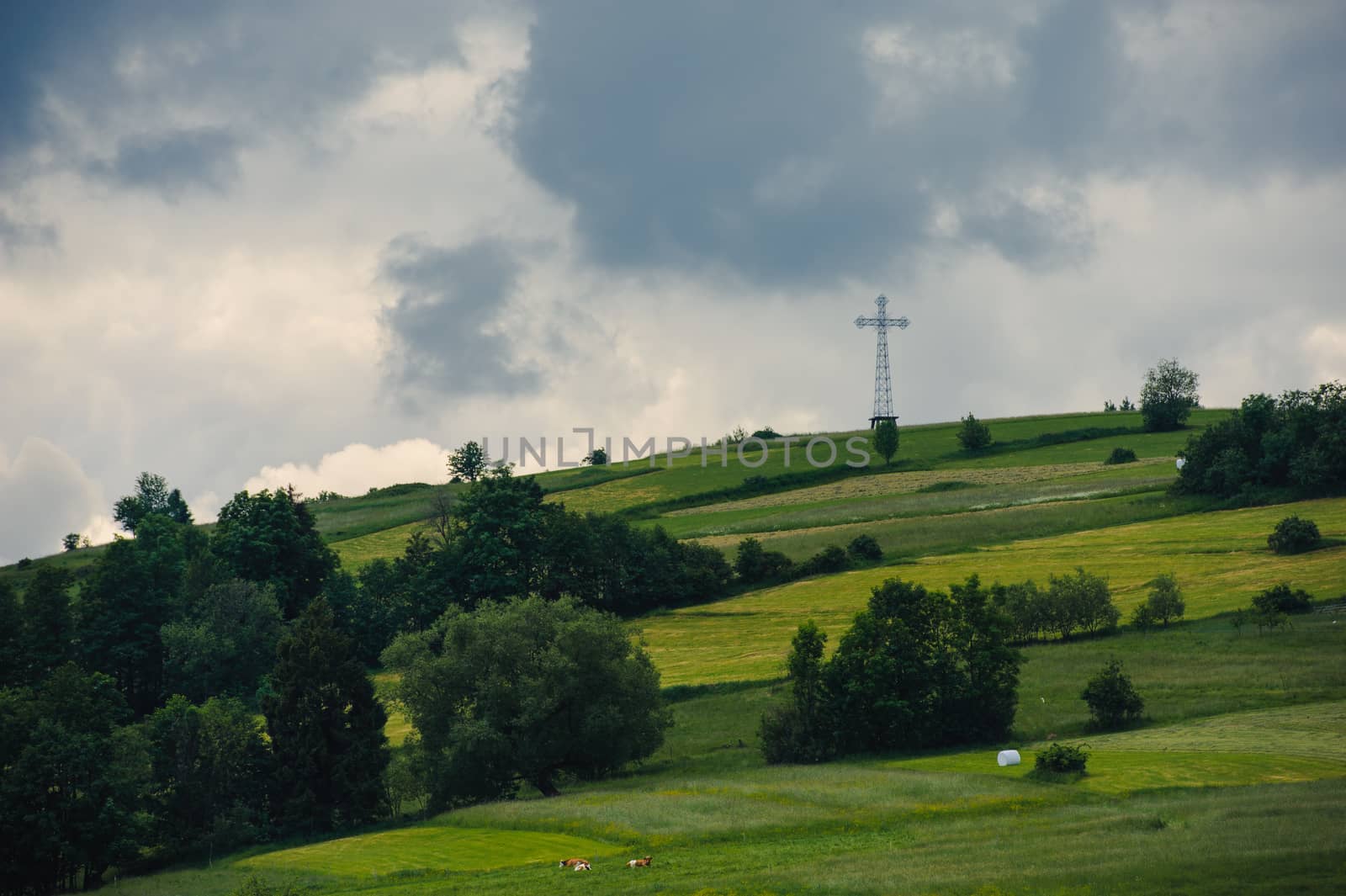 Hills covered with green grass under blue sky Summer landscape background