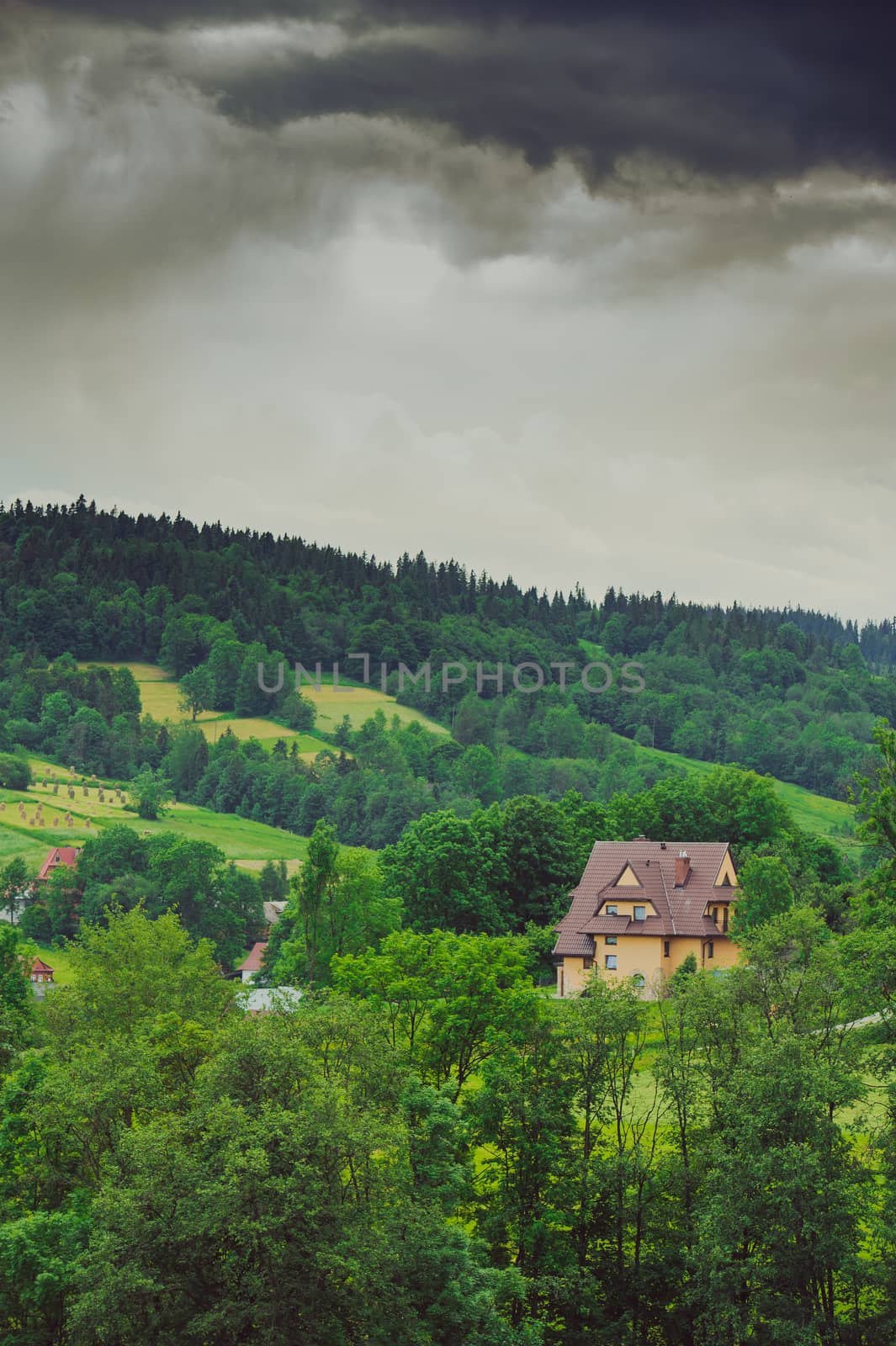 Hills covered with green grass under blue sky Summer landscape background