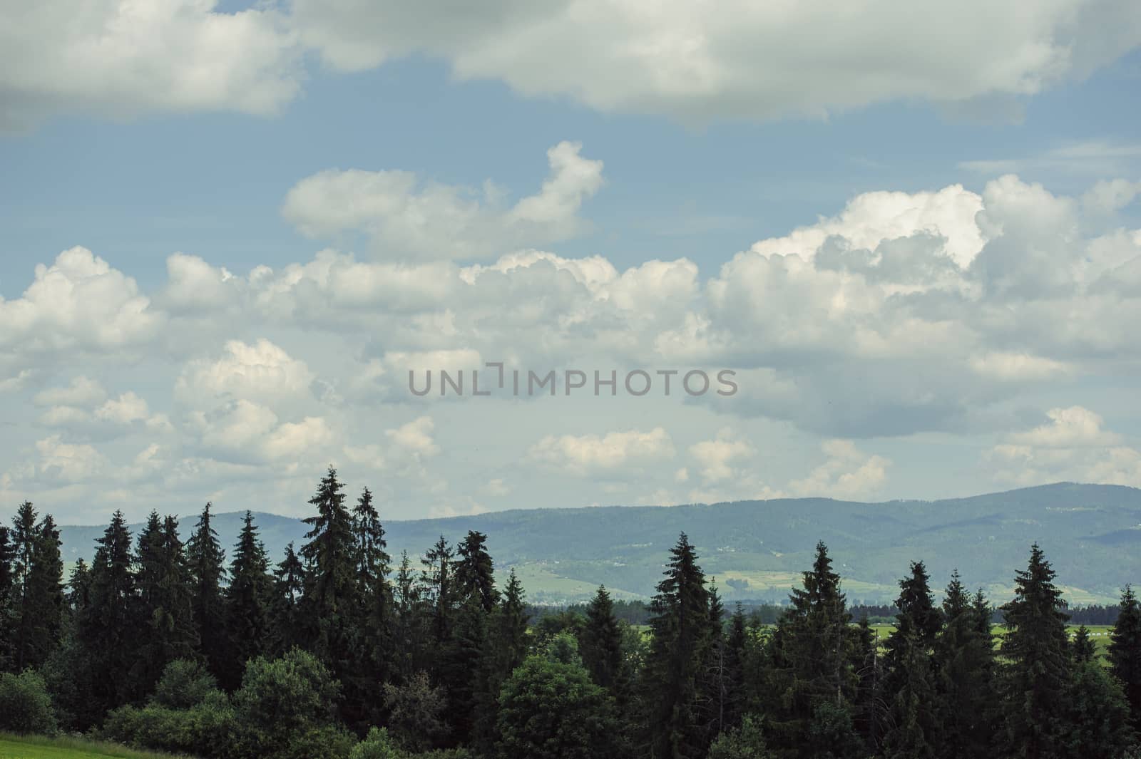 summer mountains green grass and blue sky landscape.
