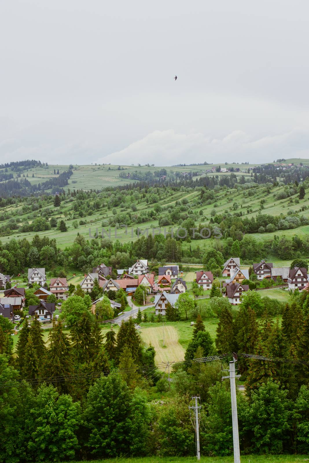 Summer mountain landscape with traditional huts in Tatra mountain.