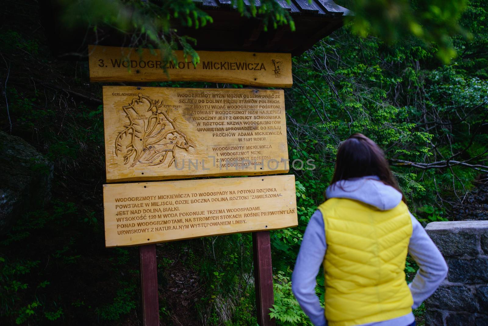Female tourist standing on forest road looking at the information wooden board