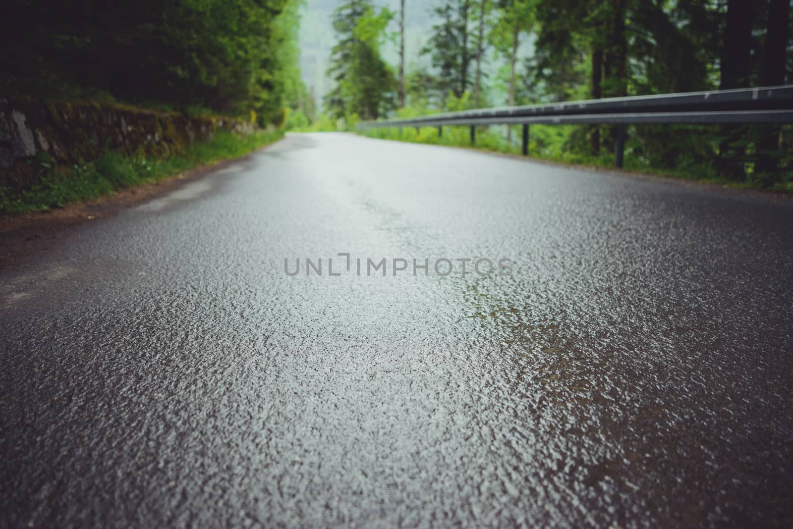 asphalt road in mountain in summer time