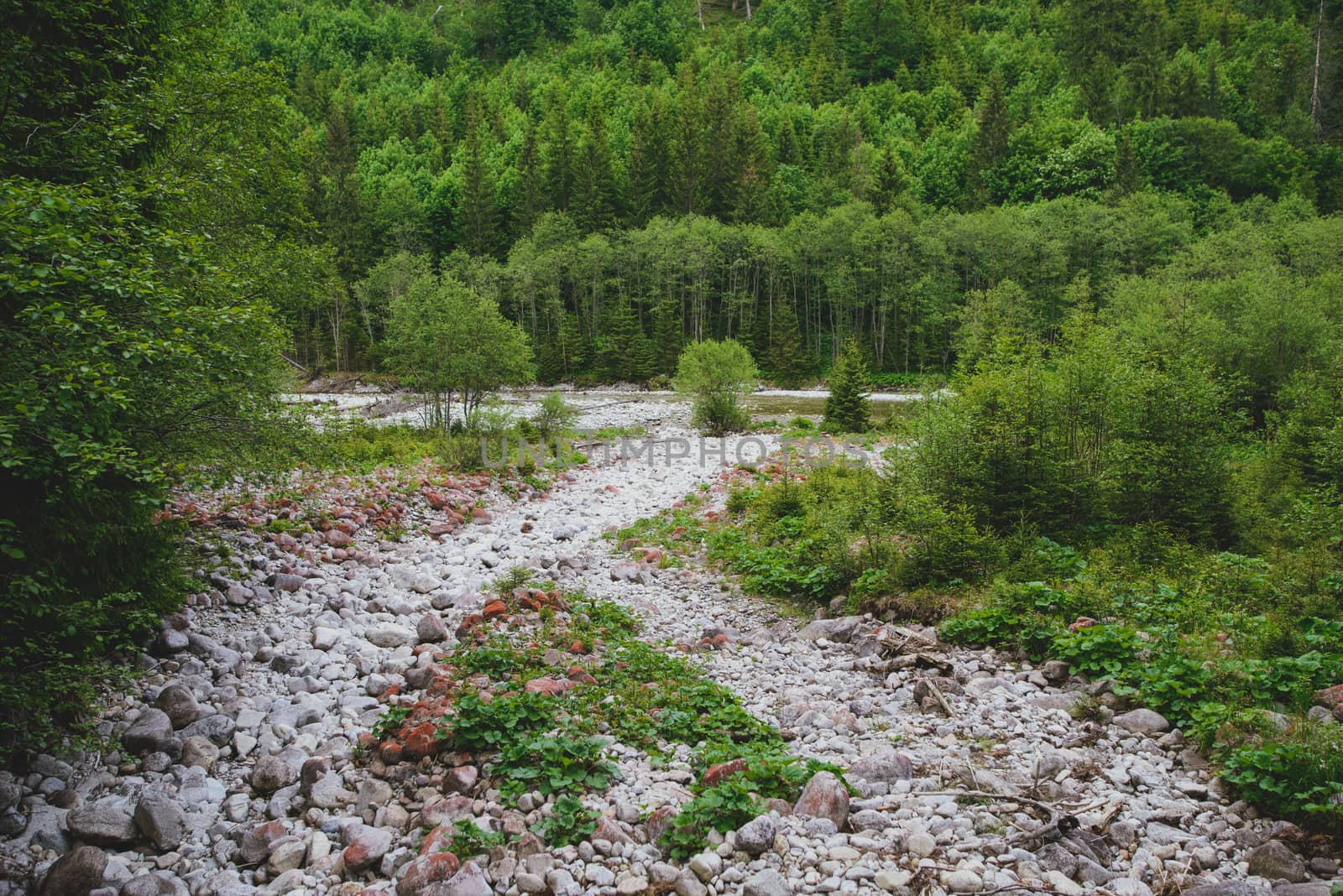 hiking stone path in the mountains in summer