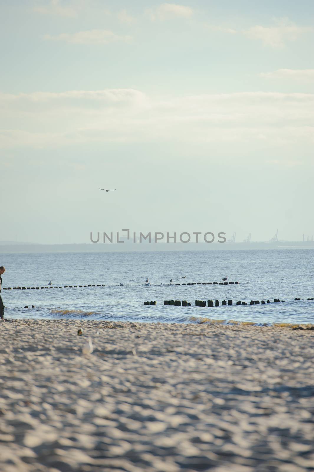 beach and Baltic Sea in summer time
