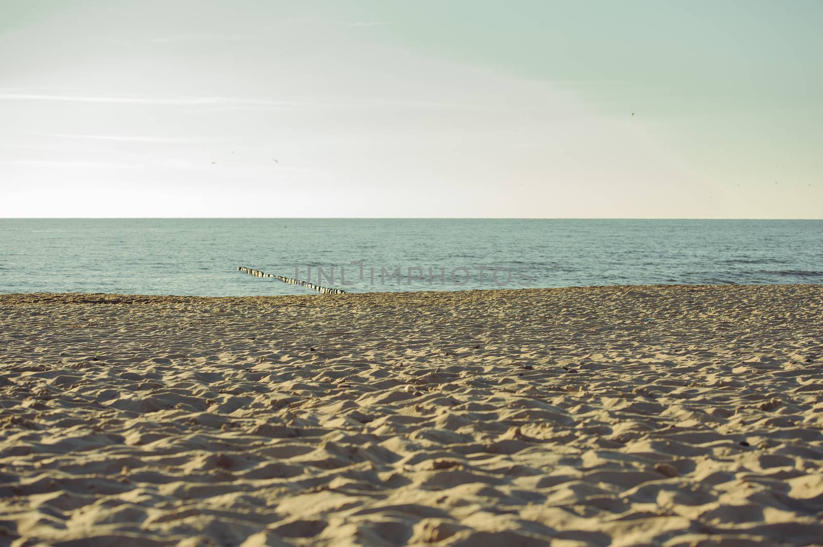 beach and Baltic Sea in summer time