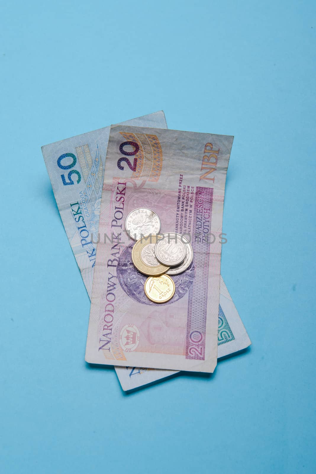 Polish zloty in notes and coins on blue background