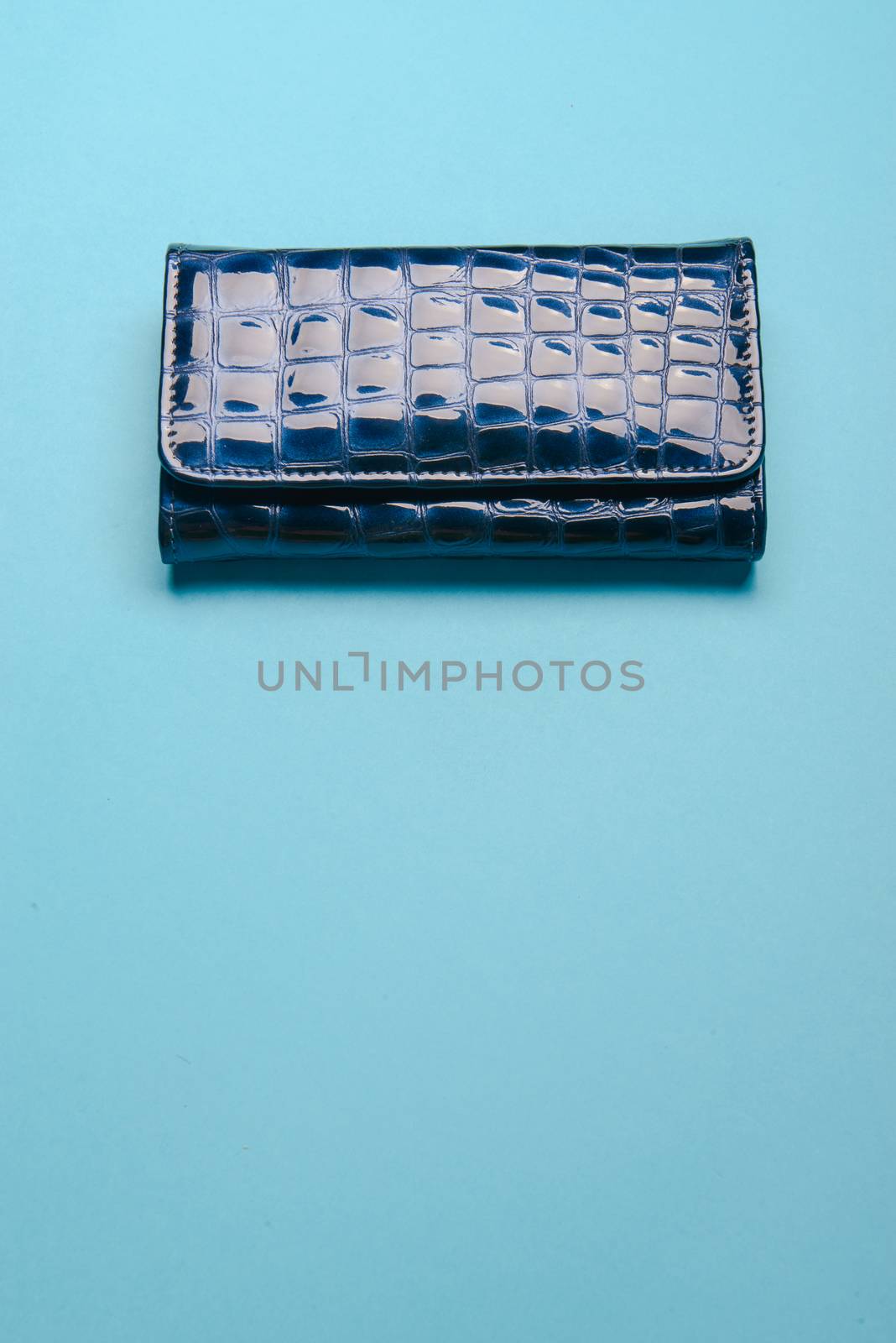Blue ladies leather purse on a blue background