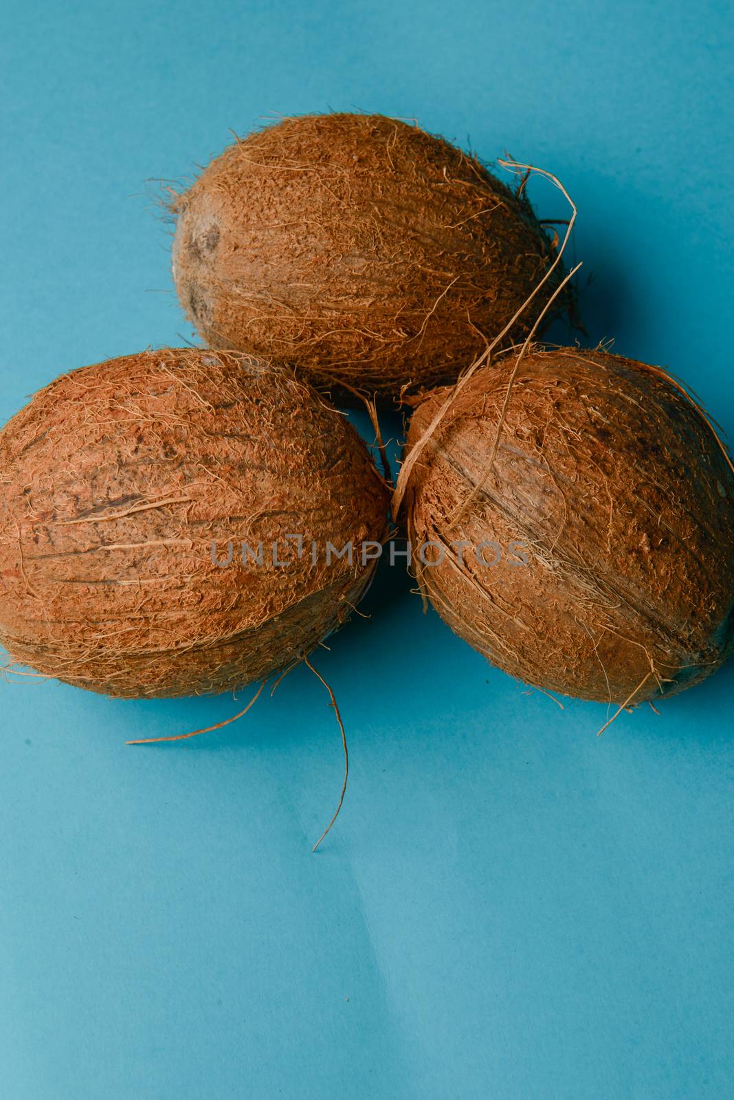 Coconut isolated on blue Background. High resolution