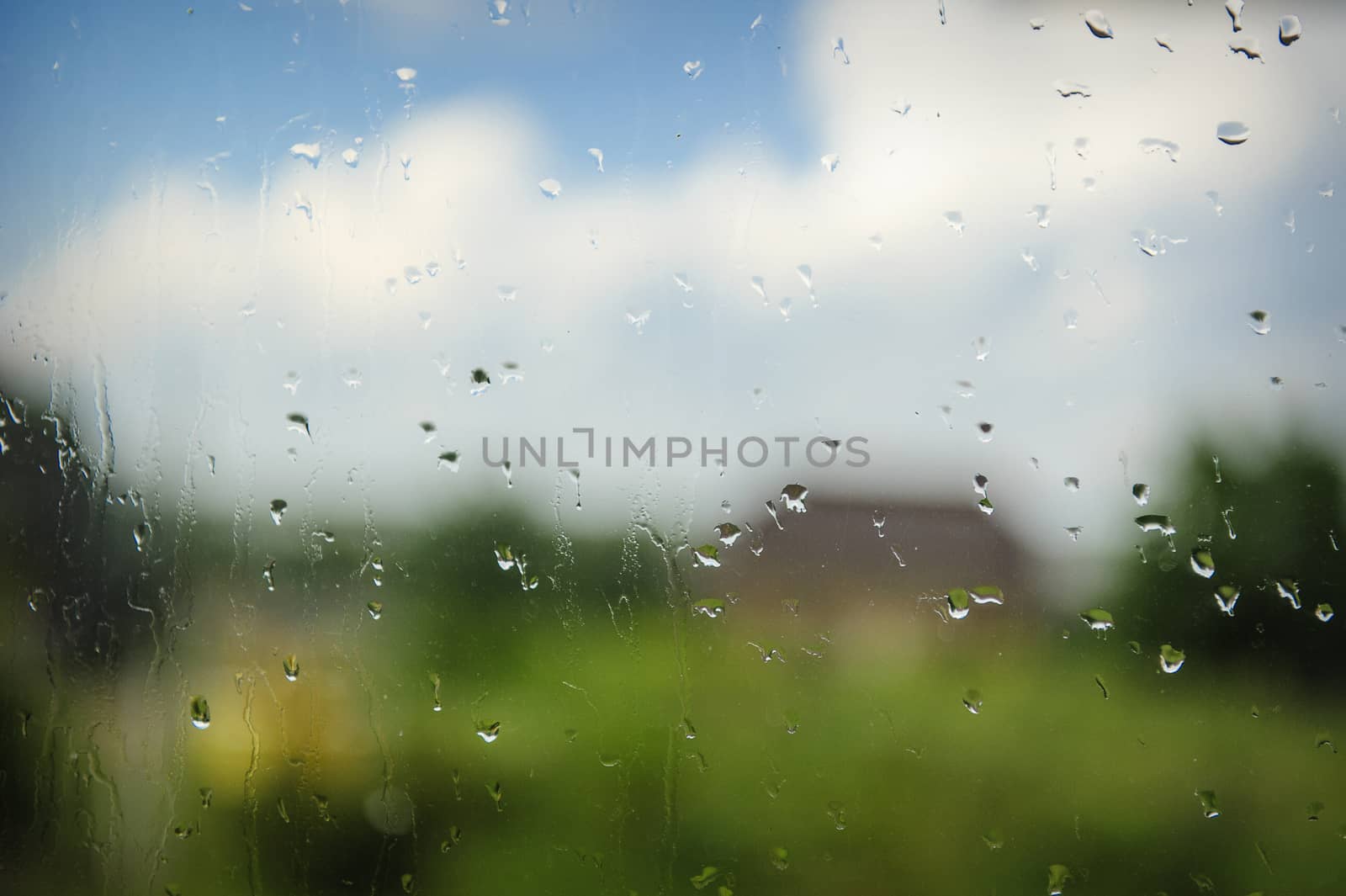 Rain drops on glass