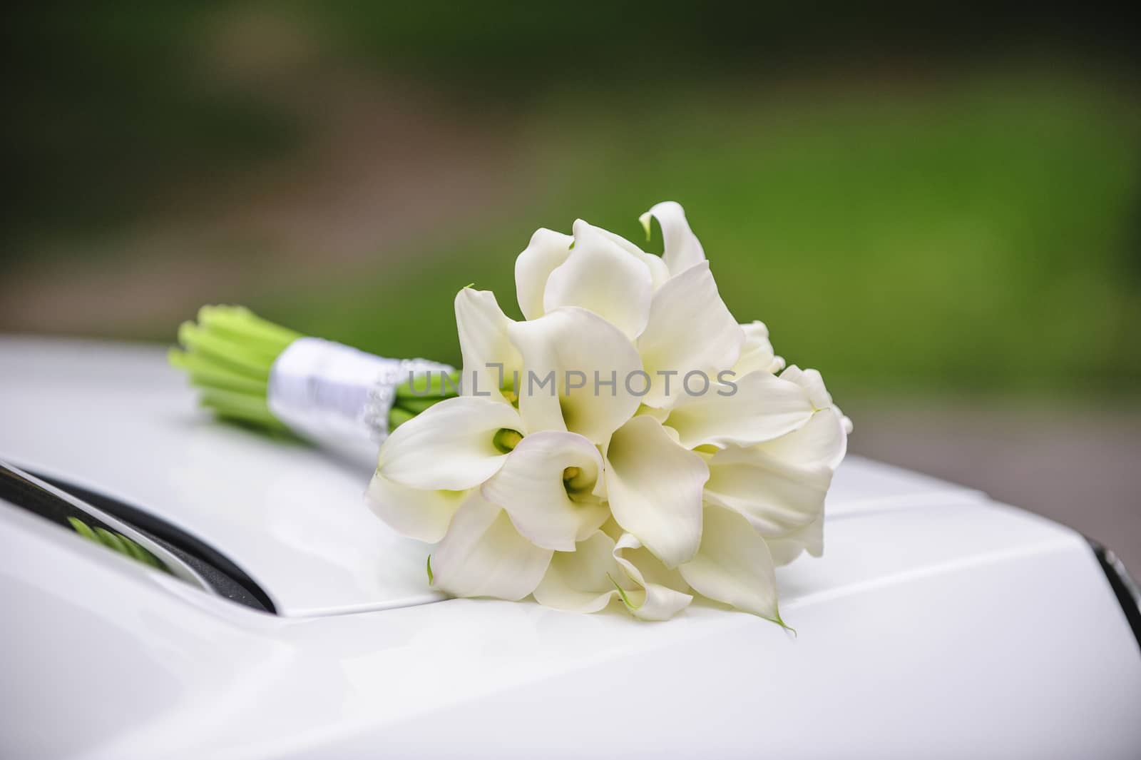 Beautiful wedding bouquet of white calla