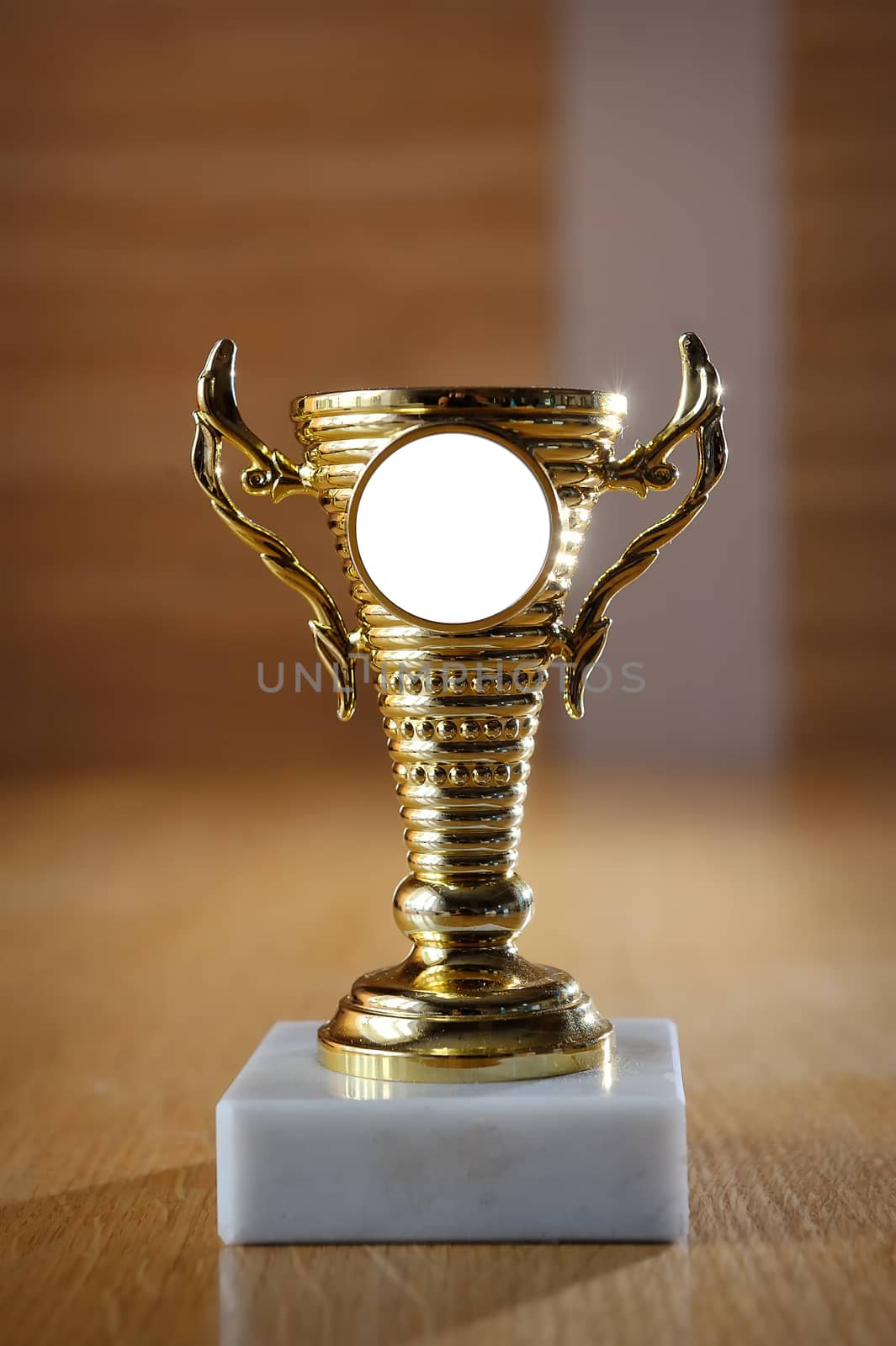 champion golden trophy