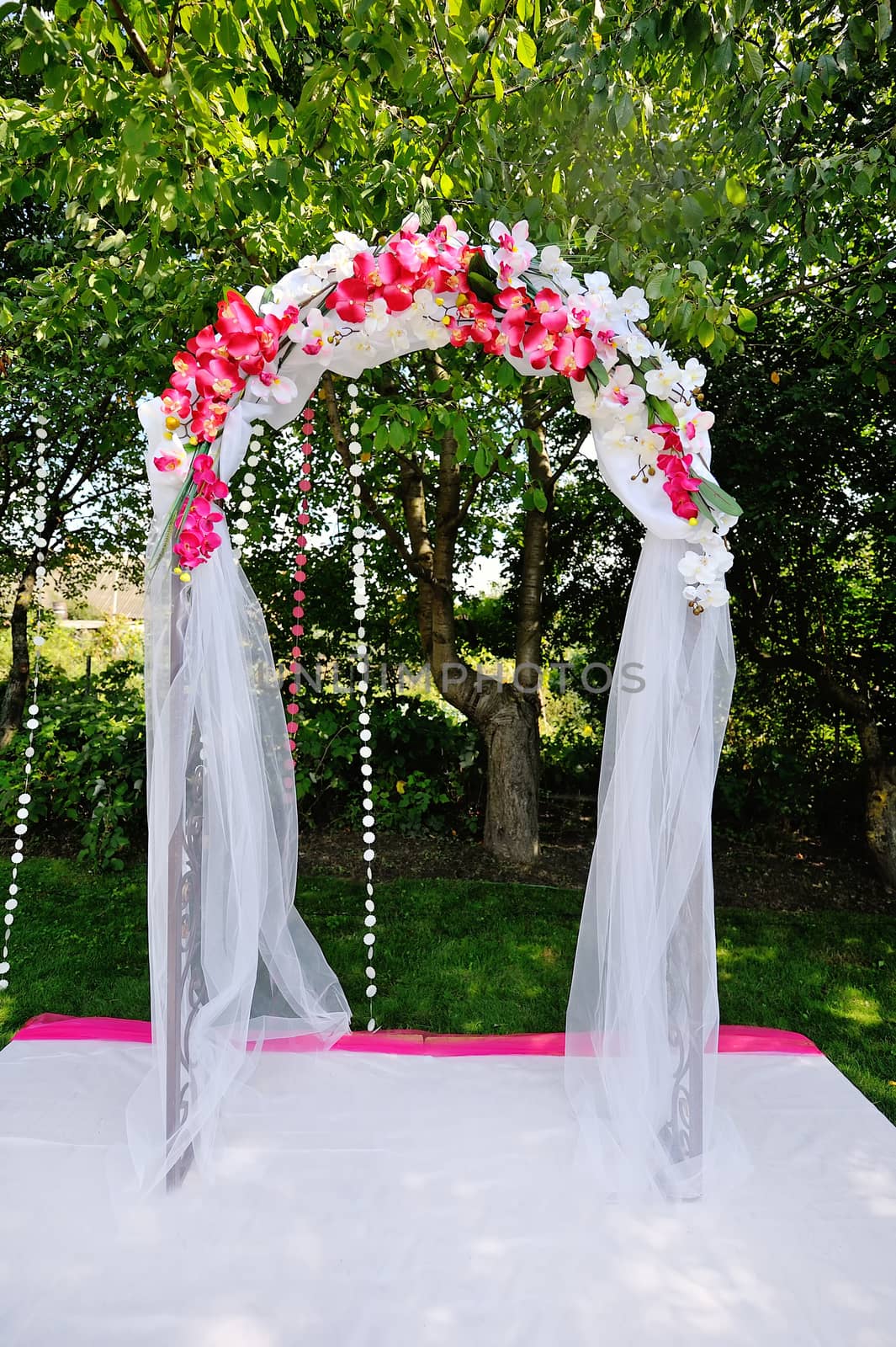 wedding arch outdoors
